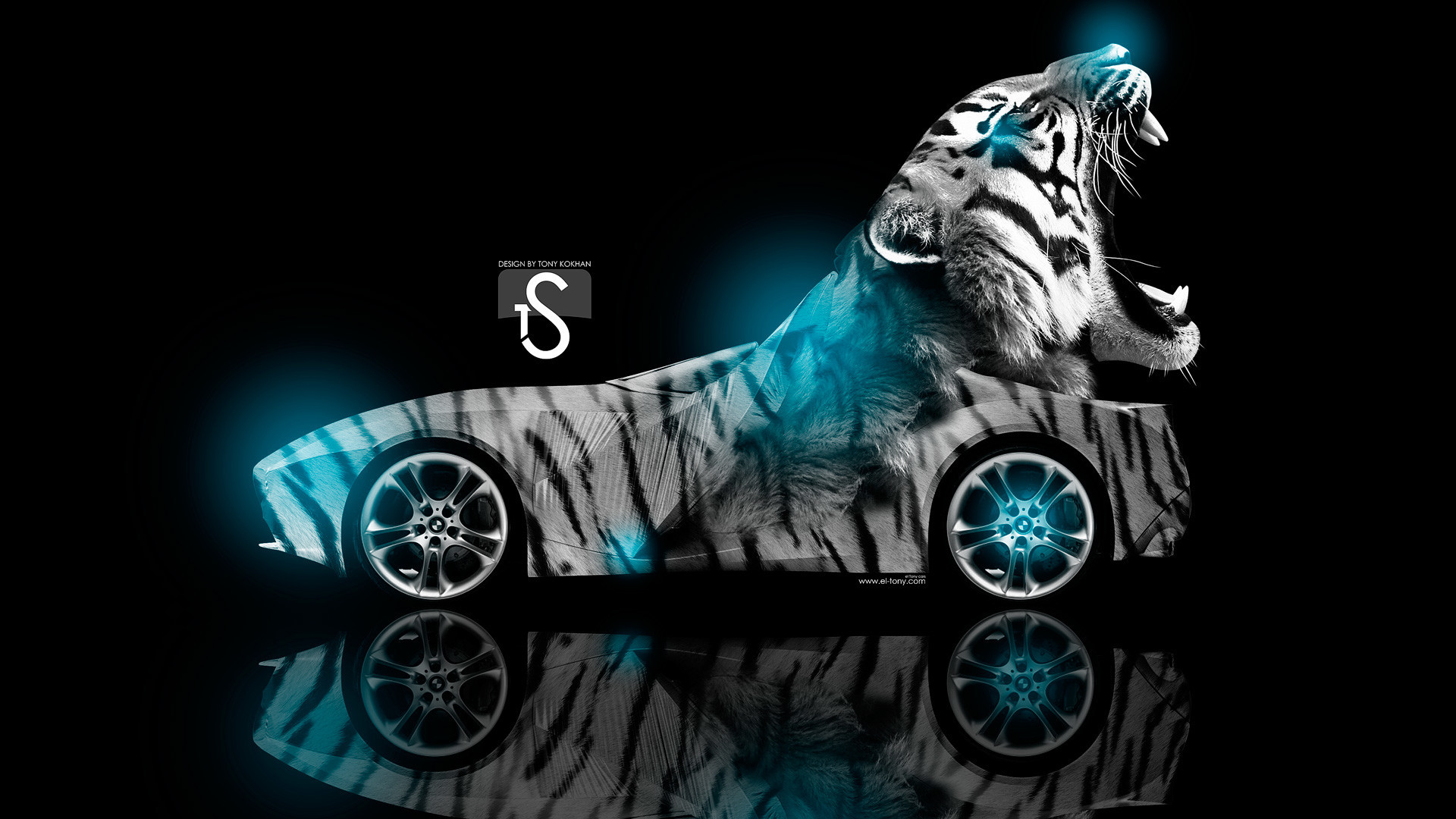 1920x1080  Cool Animal Wallpaper Light Blue Tiger Quotes