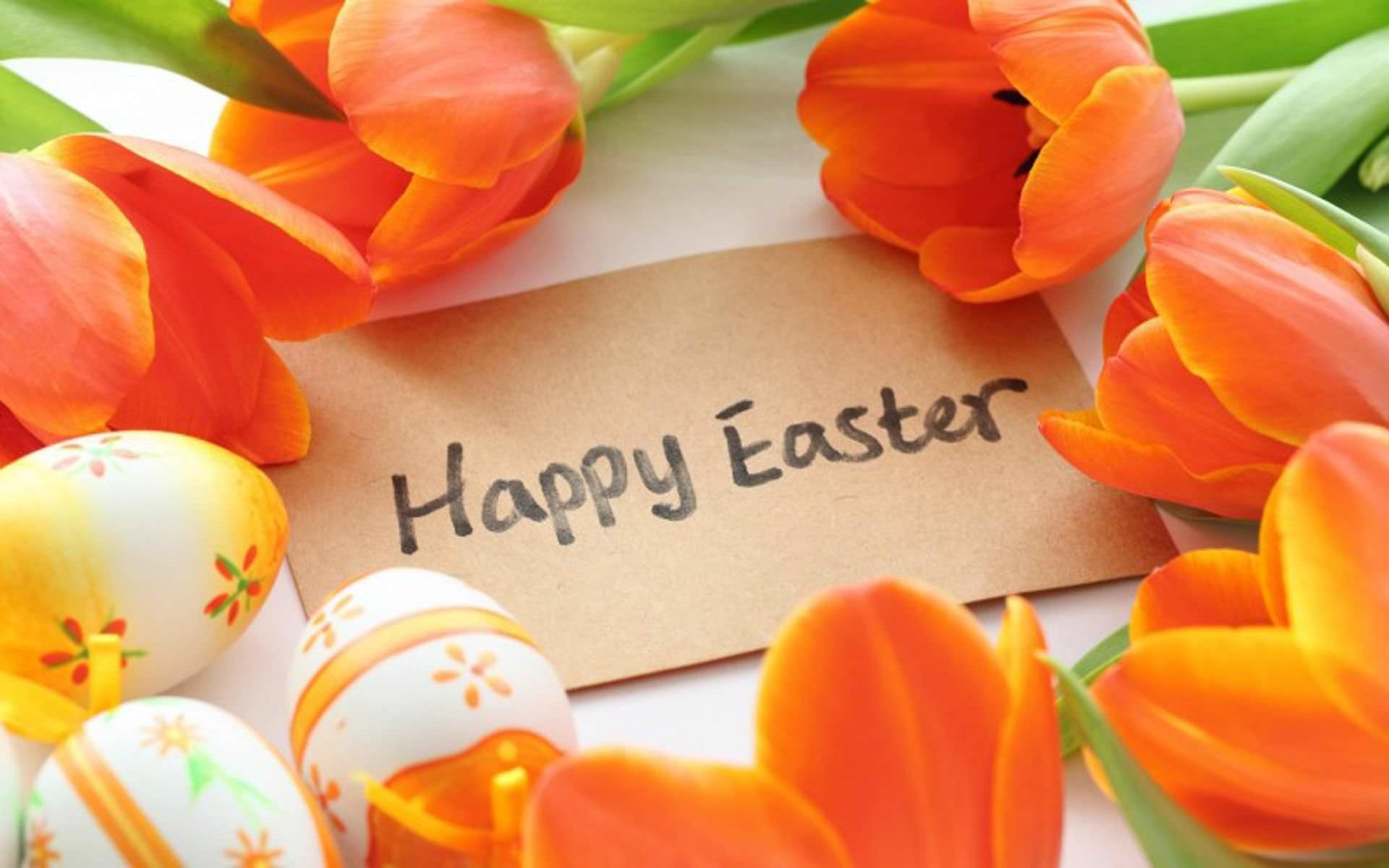 1920x1200 Cute Happy Easter Wallpapers