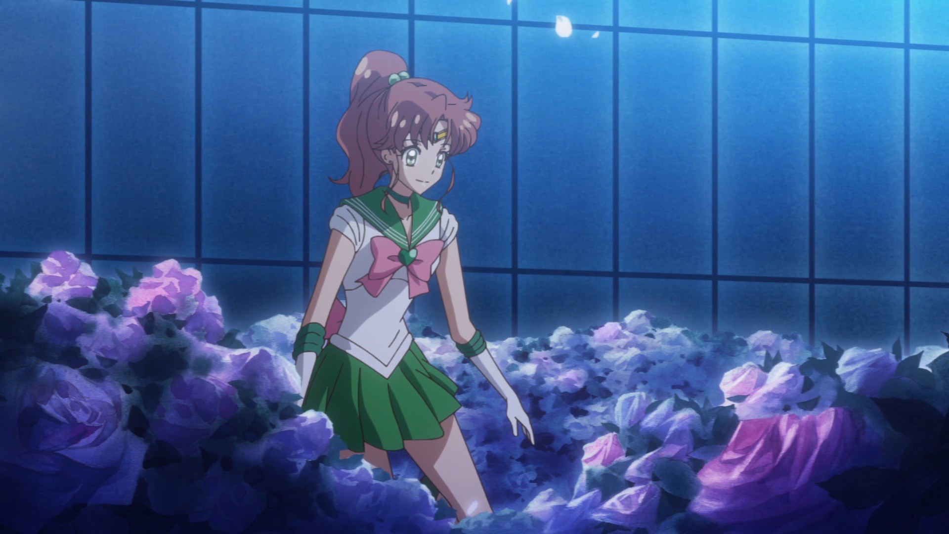 1920x1080 Sailor Moon Crystal Act 34 – Sailor Jupiter loves flowers