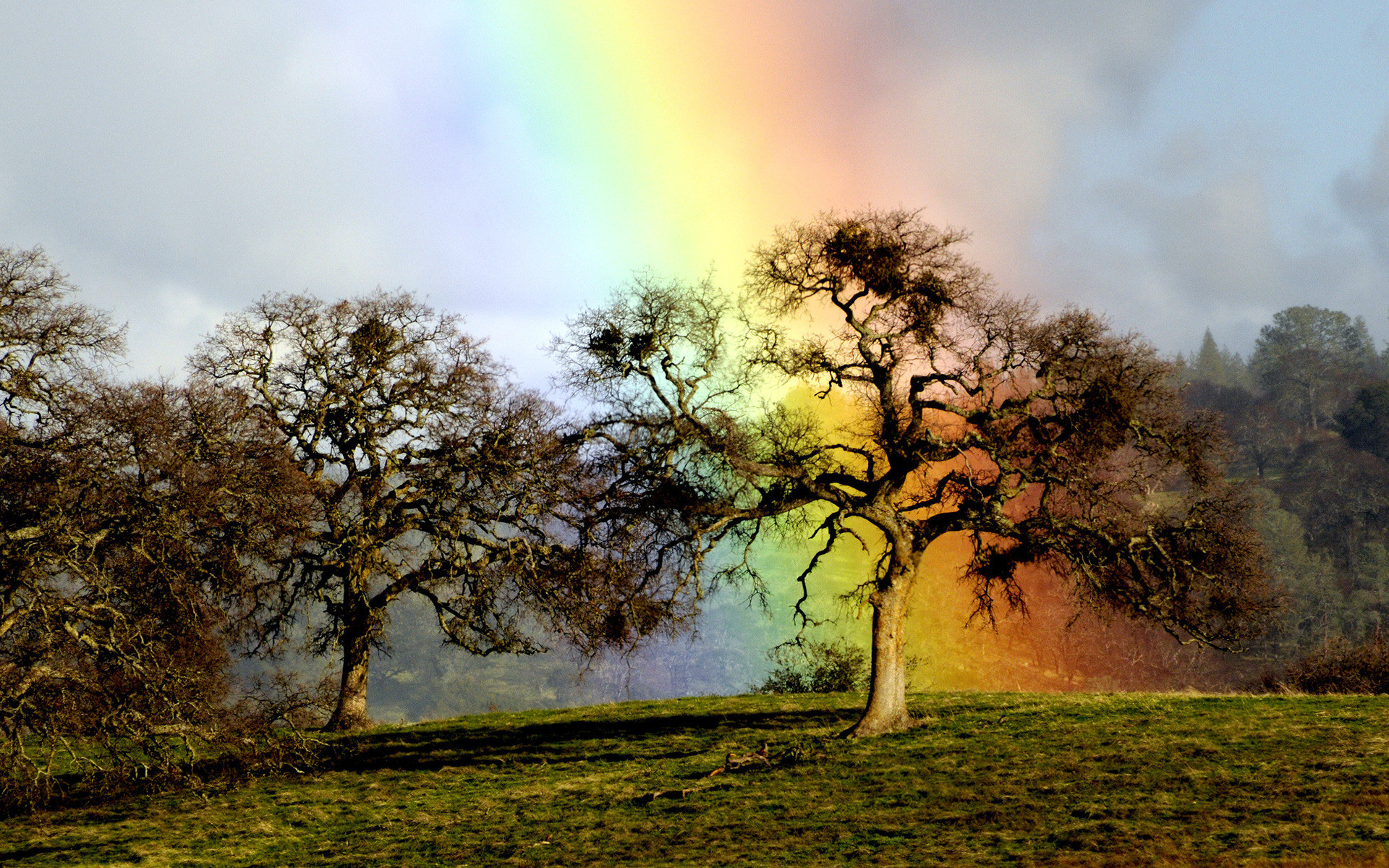 1920x1200 ... Nature Wallpapers for your PC-near-rainbow.jpg ...