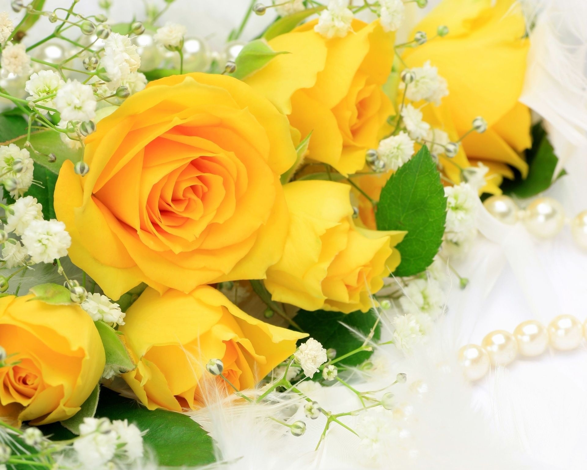1920x1536 Yellow Roses Wallpapers