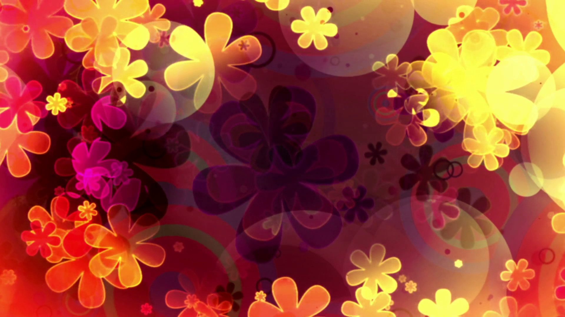 1920x1080 Retro flowers and shapes animated looping CG abstract animated background
