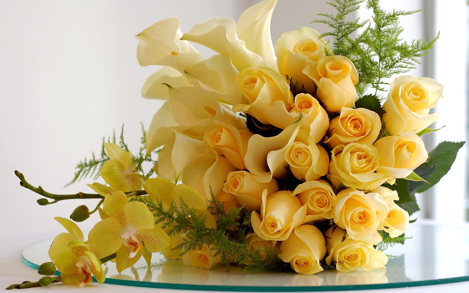 1920x1200 Stunning Yellow Roses