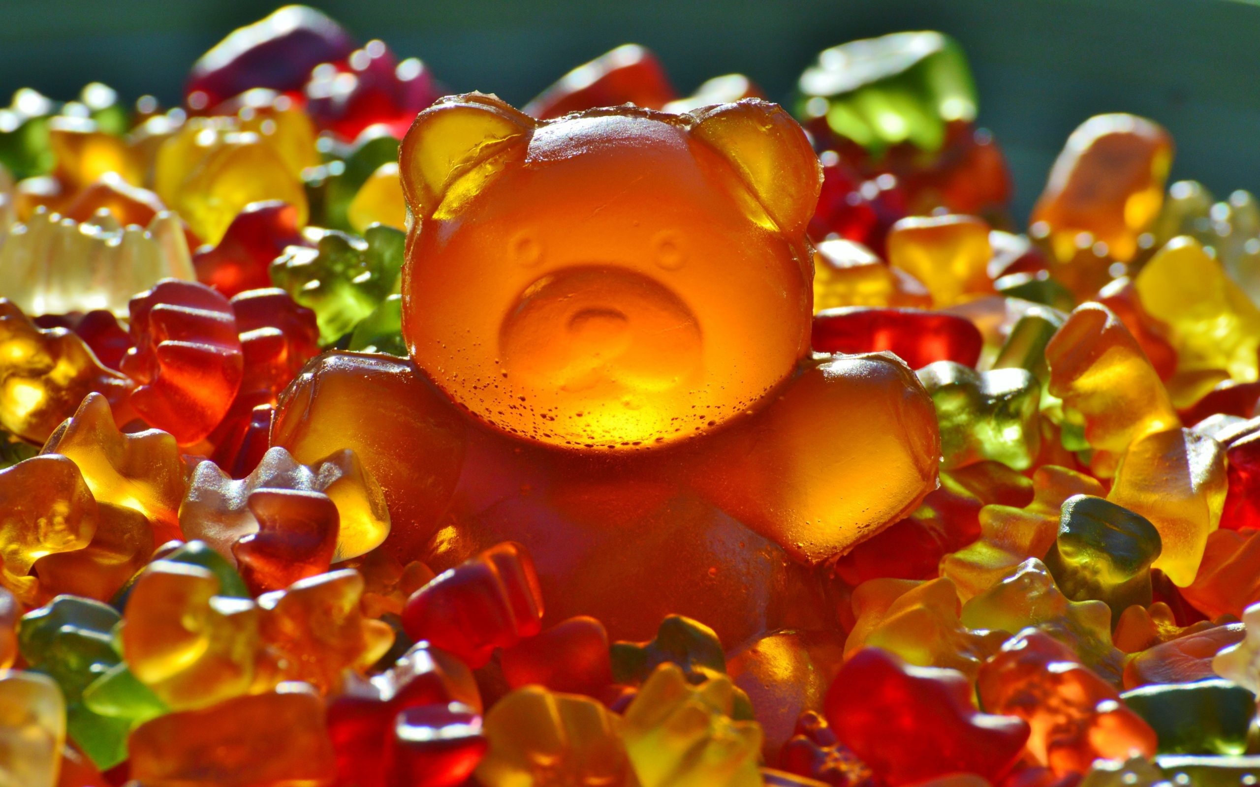 2560x1600 Candy Gummy Bears Wallpaper Background 59015