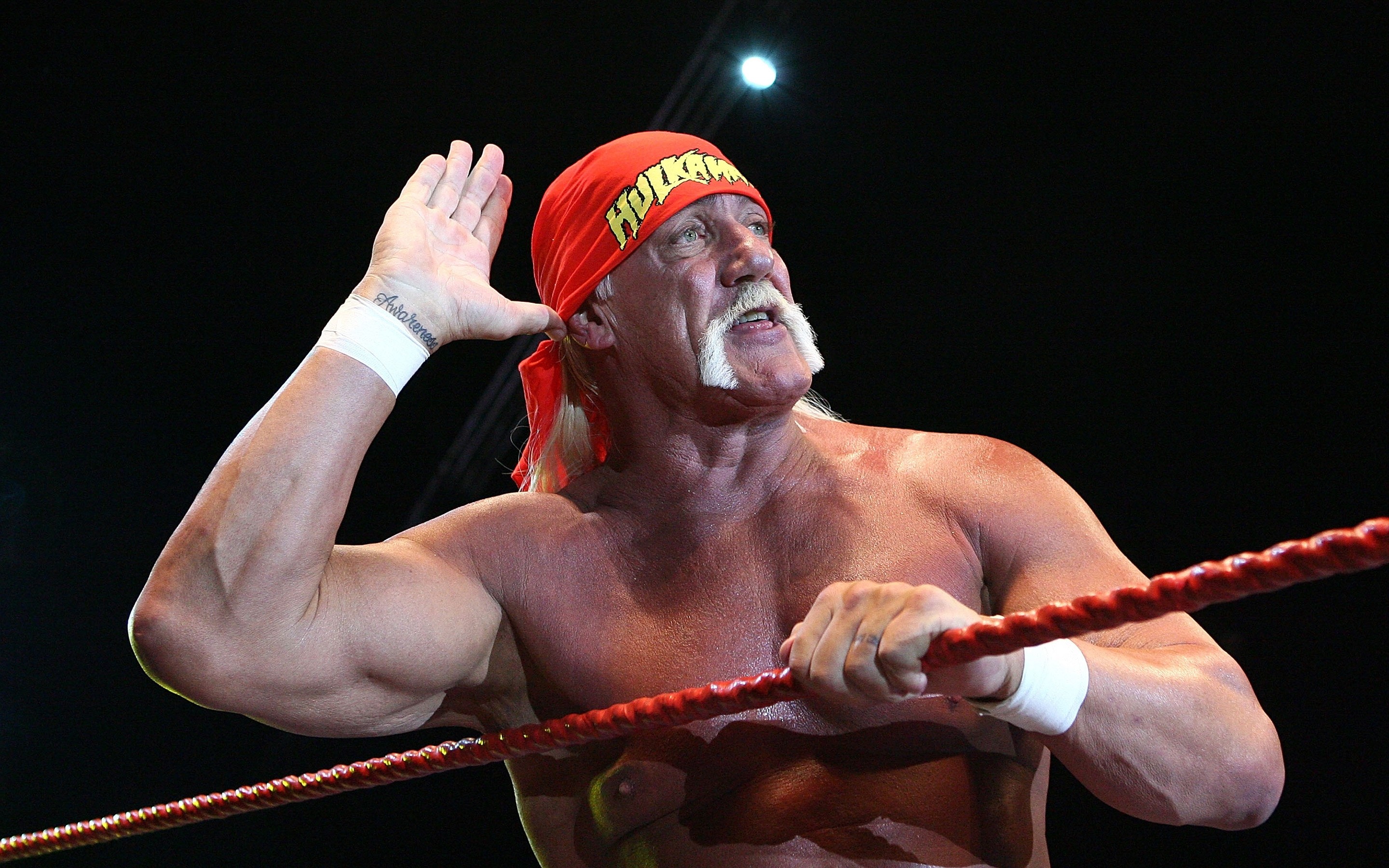 2880x1800 Hulk Hogan Salute