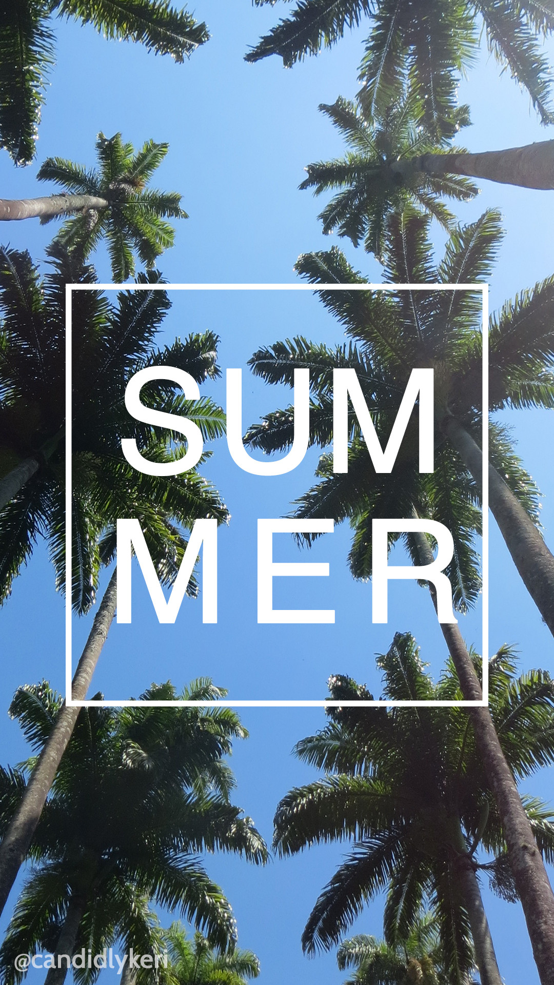 1080x1920 Summer Palm Tree Ocean background wallpaper you can download for free on  the blog! For