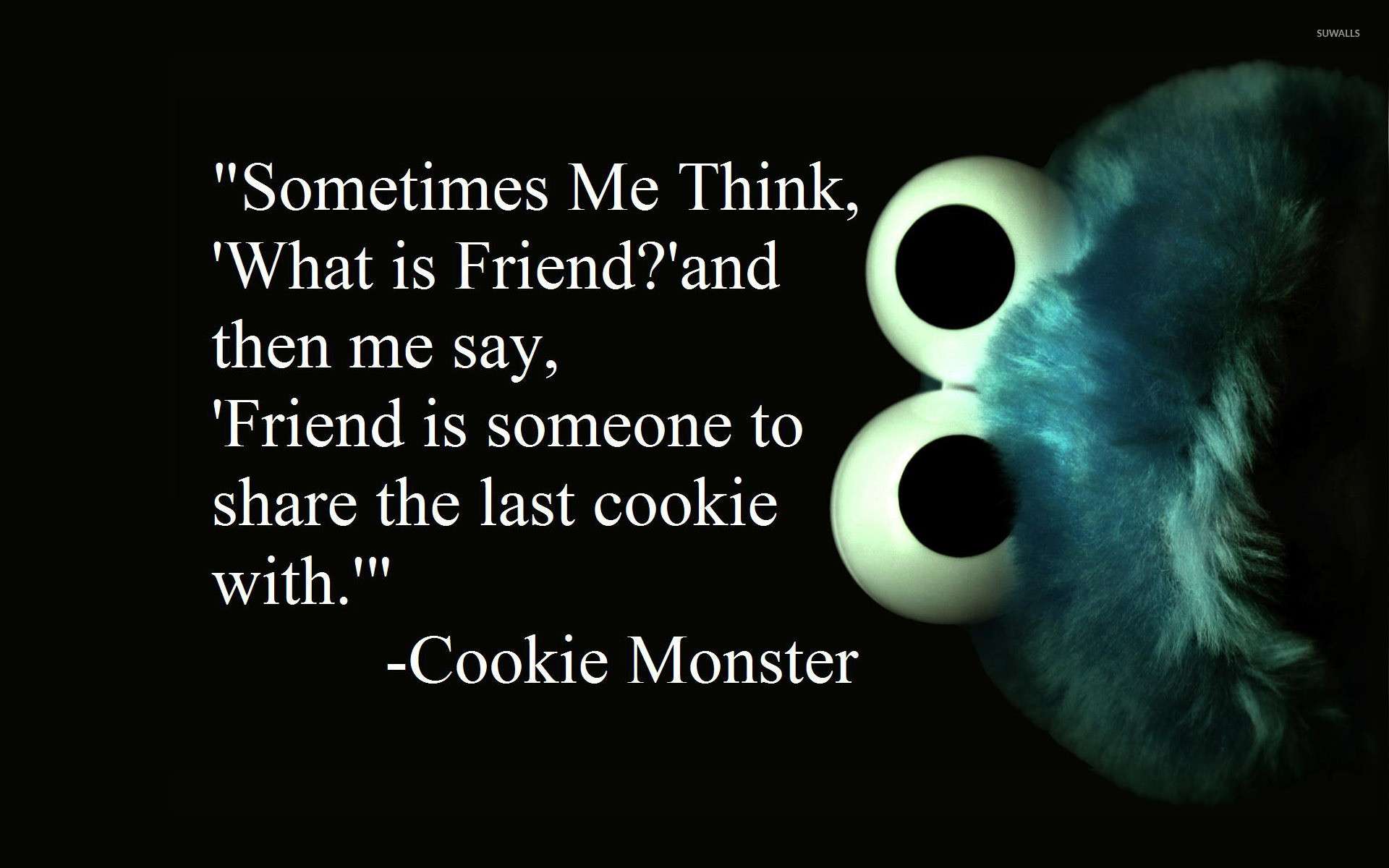 1920x1200 Cookie Monster about friends wallpaper  jpg