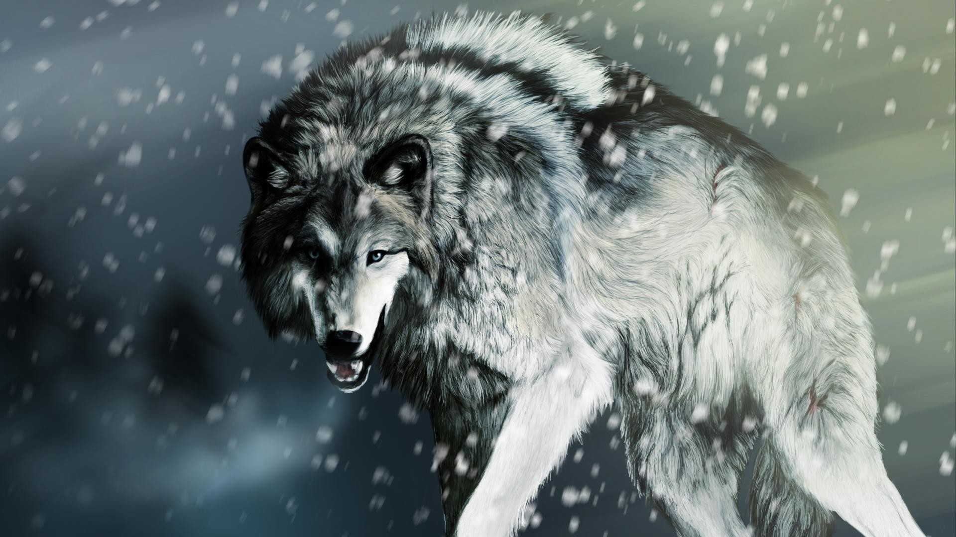 1920x1080 White Wolf Snow Pictures HD Wallpaper