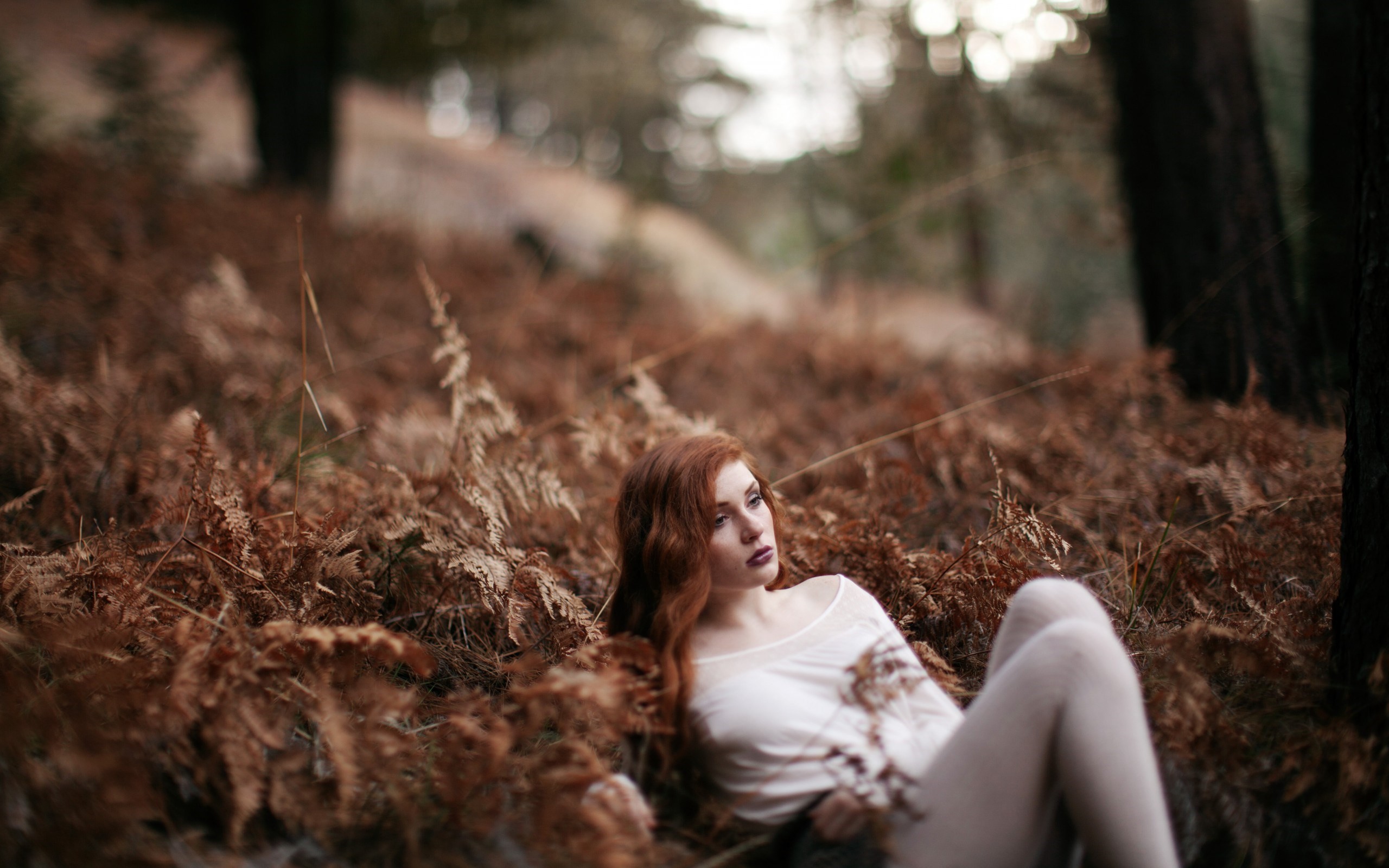 2560x1600 Nature Forest Redhead Girl Photo