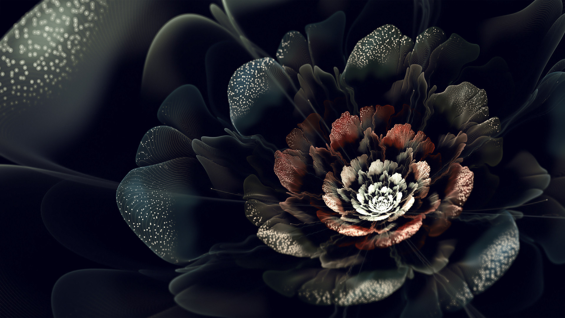 Premium Photo  Black rose flower close up dark roses background generative  ai