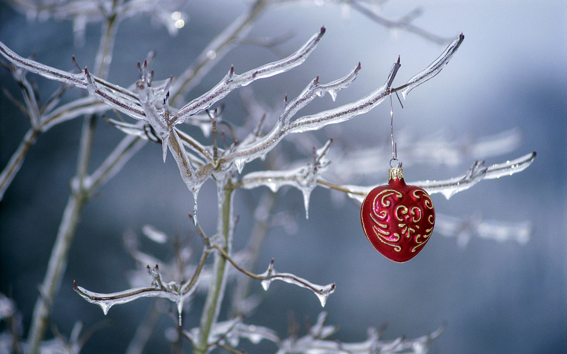 1920x1200 Ornament hanging on a frozen tree