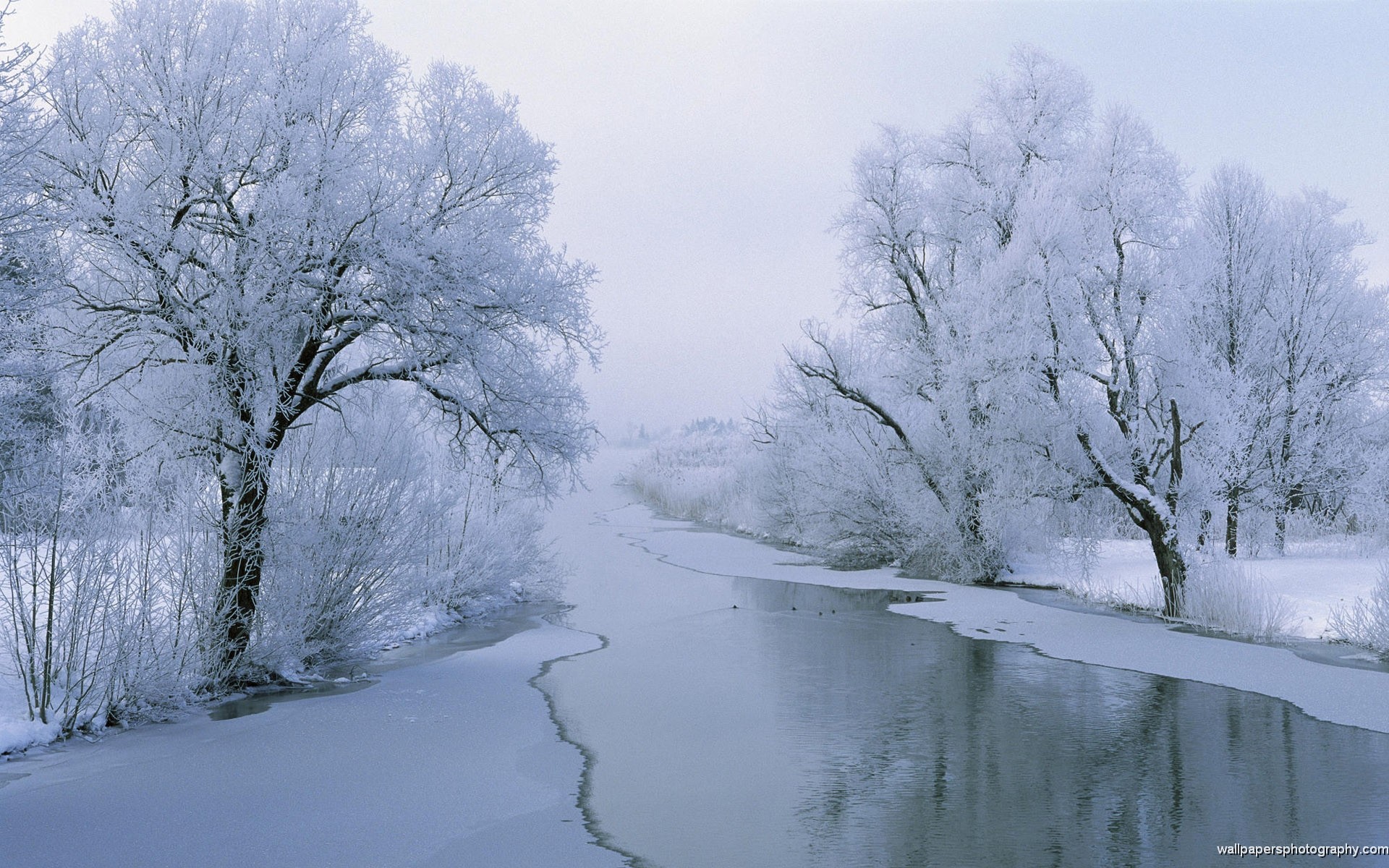 1920x1200 Snow Scenes River HD Wallpaper
