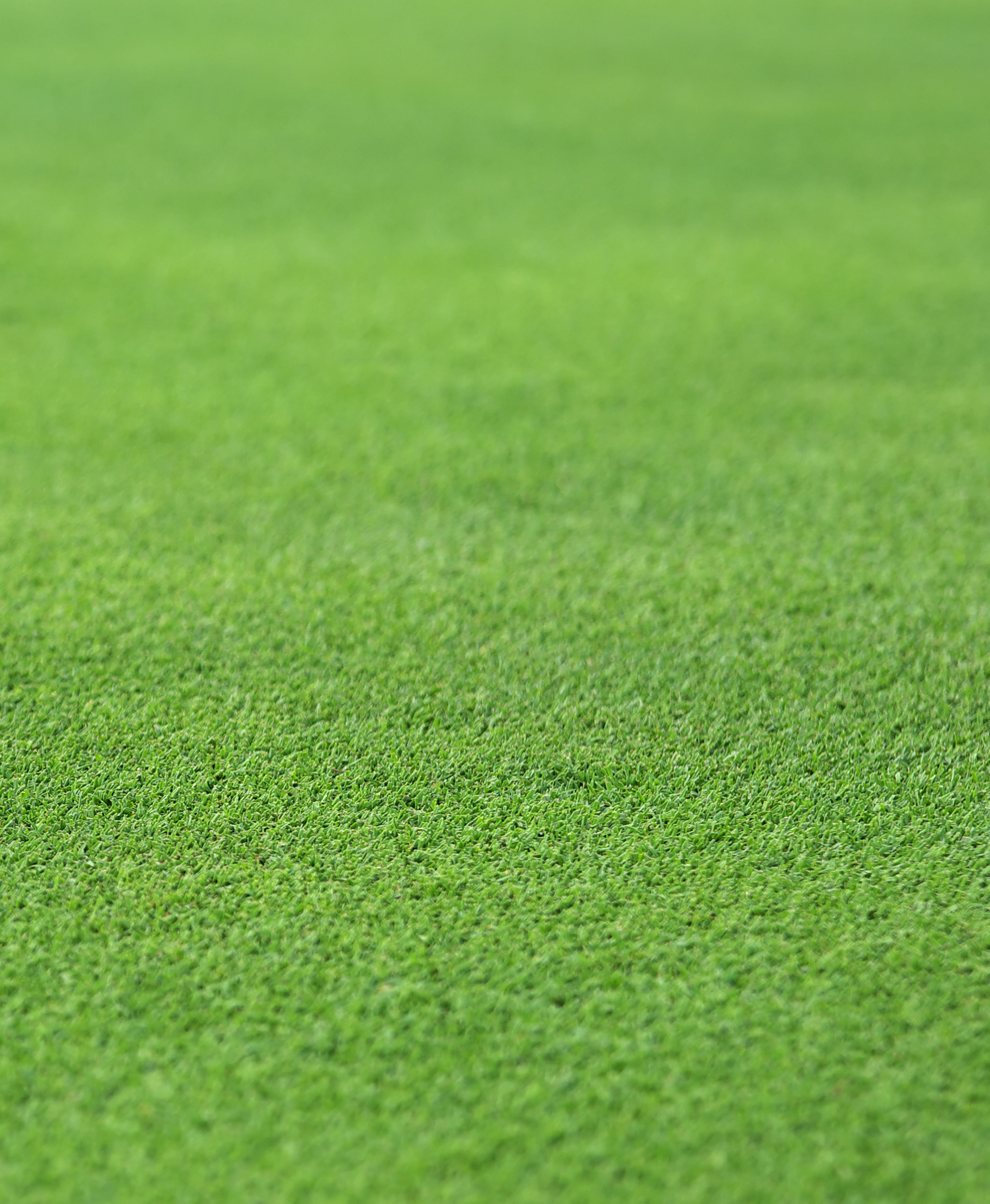 2088x2539 Stock photo of a perfect grass texture from a golf hole green