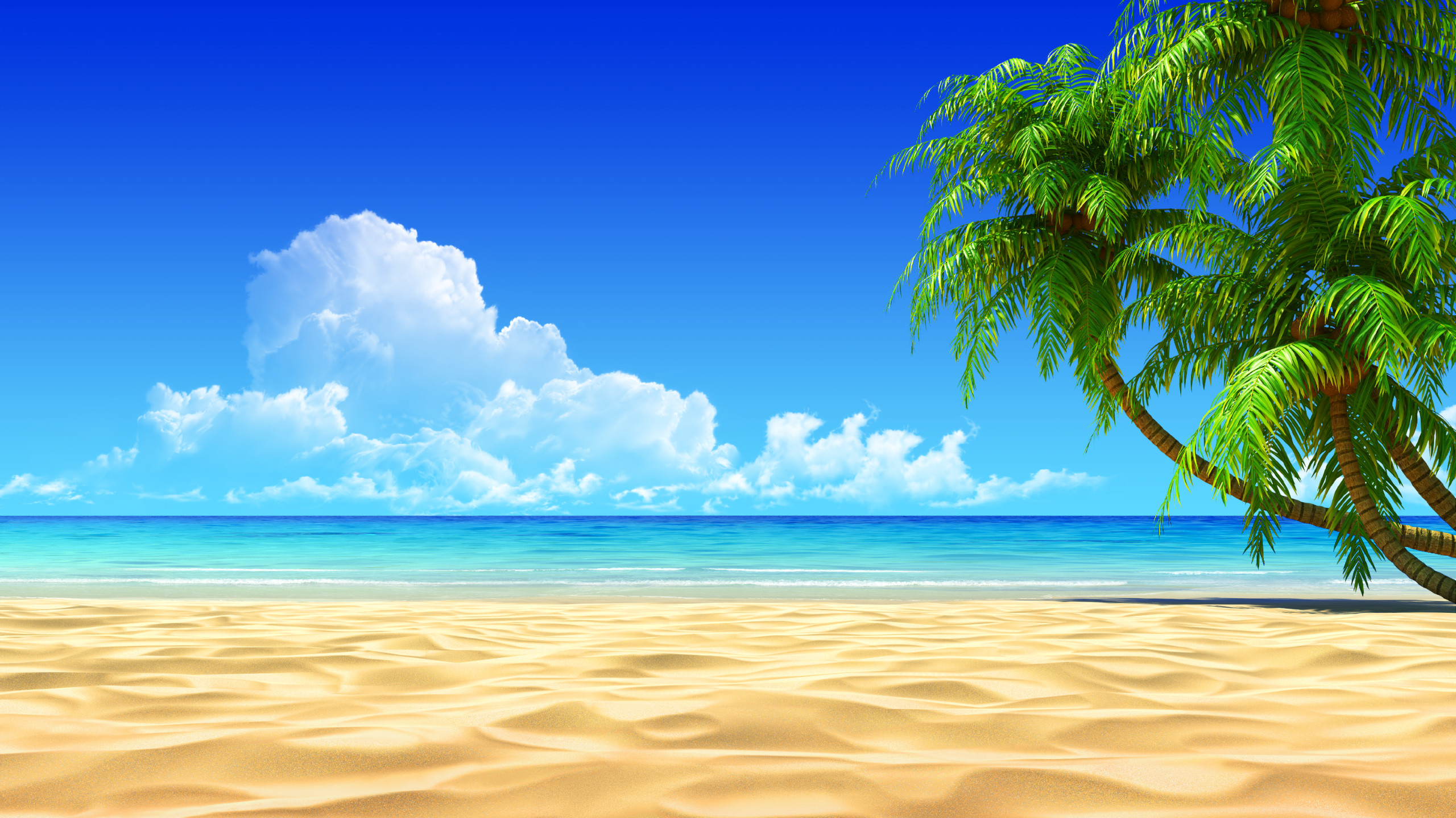 2560x1440 Breath Taking Tropical Beach HD desktop wallpaper : Widescreen : High  Definition : Fullscreen : Mobile : Dual Monitor