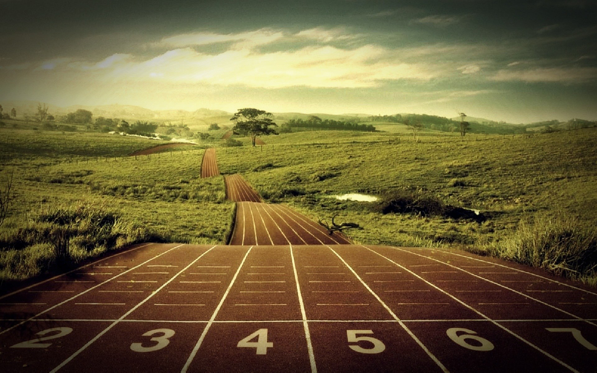 1920x1200 Track And Field Wallpaper 
