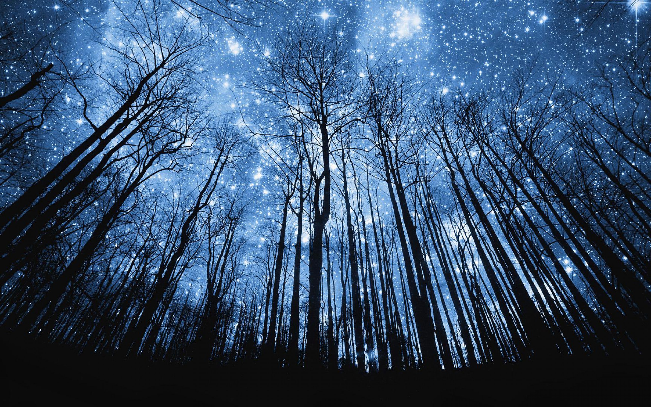 2560x1600 starry-night-sky-wallpaper-2560Ã1600-phone-WTG3106619