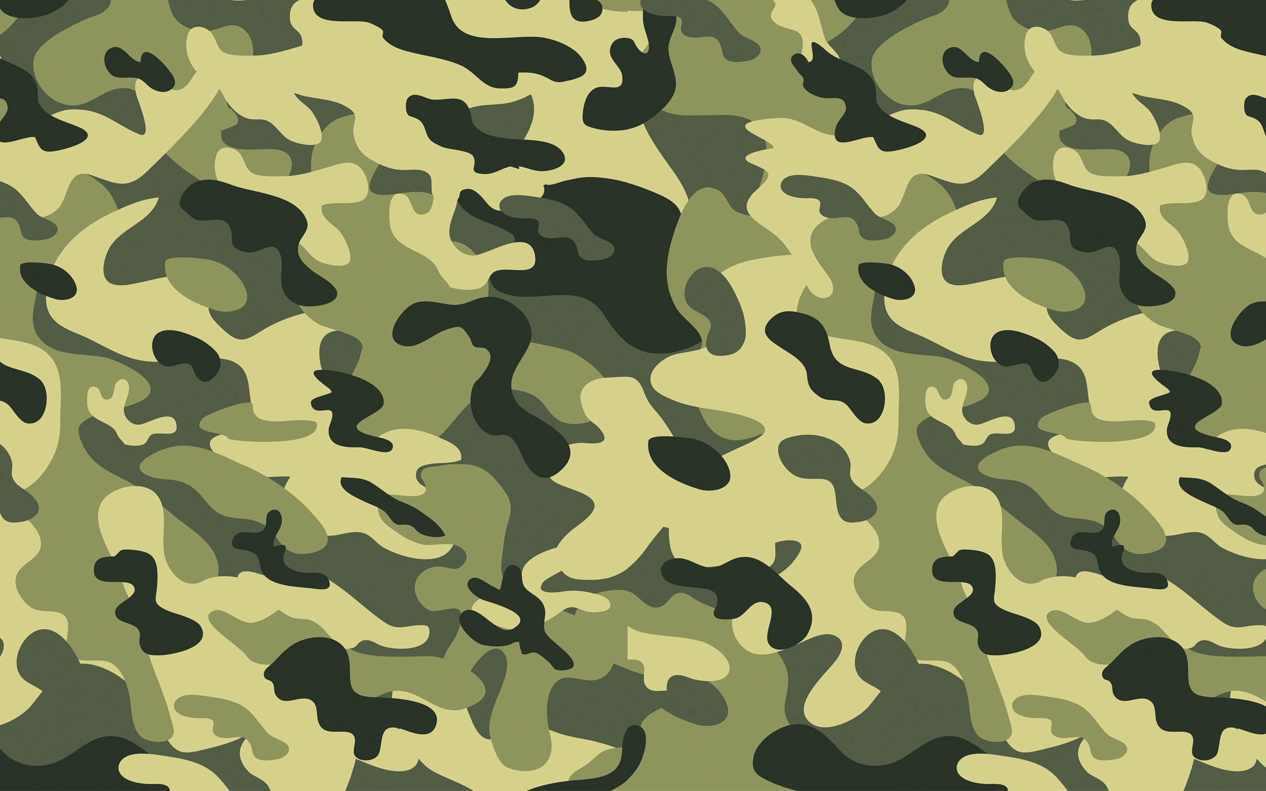 2560x1600 Green Military Camouflage Wallpapers HD