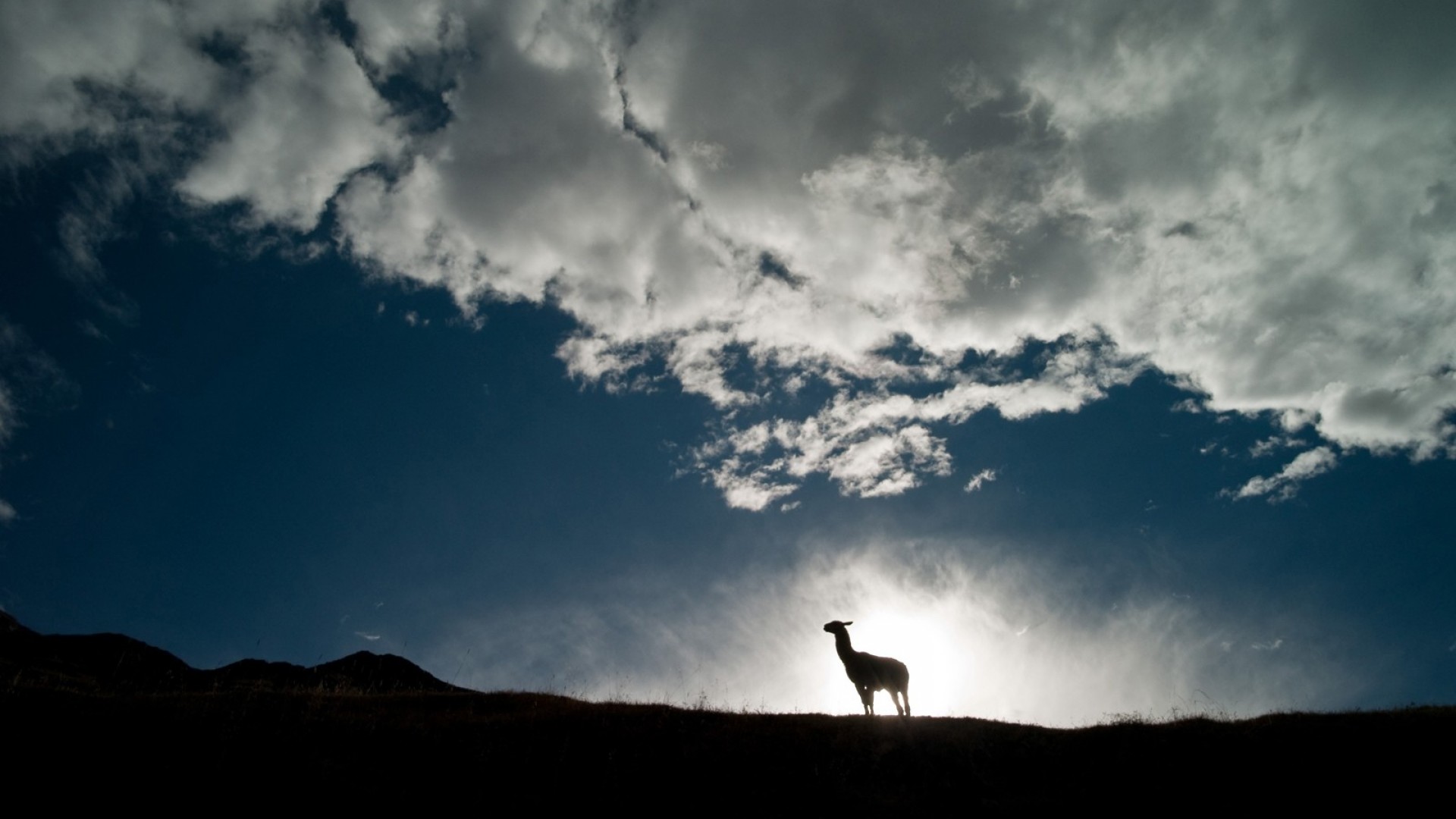 1920x1080 #NationalGeographic #Clouds #Silhouette #Sunlight #Animals #Llamas #Peru # Wallpaper