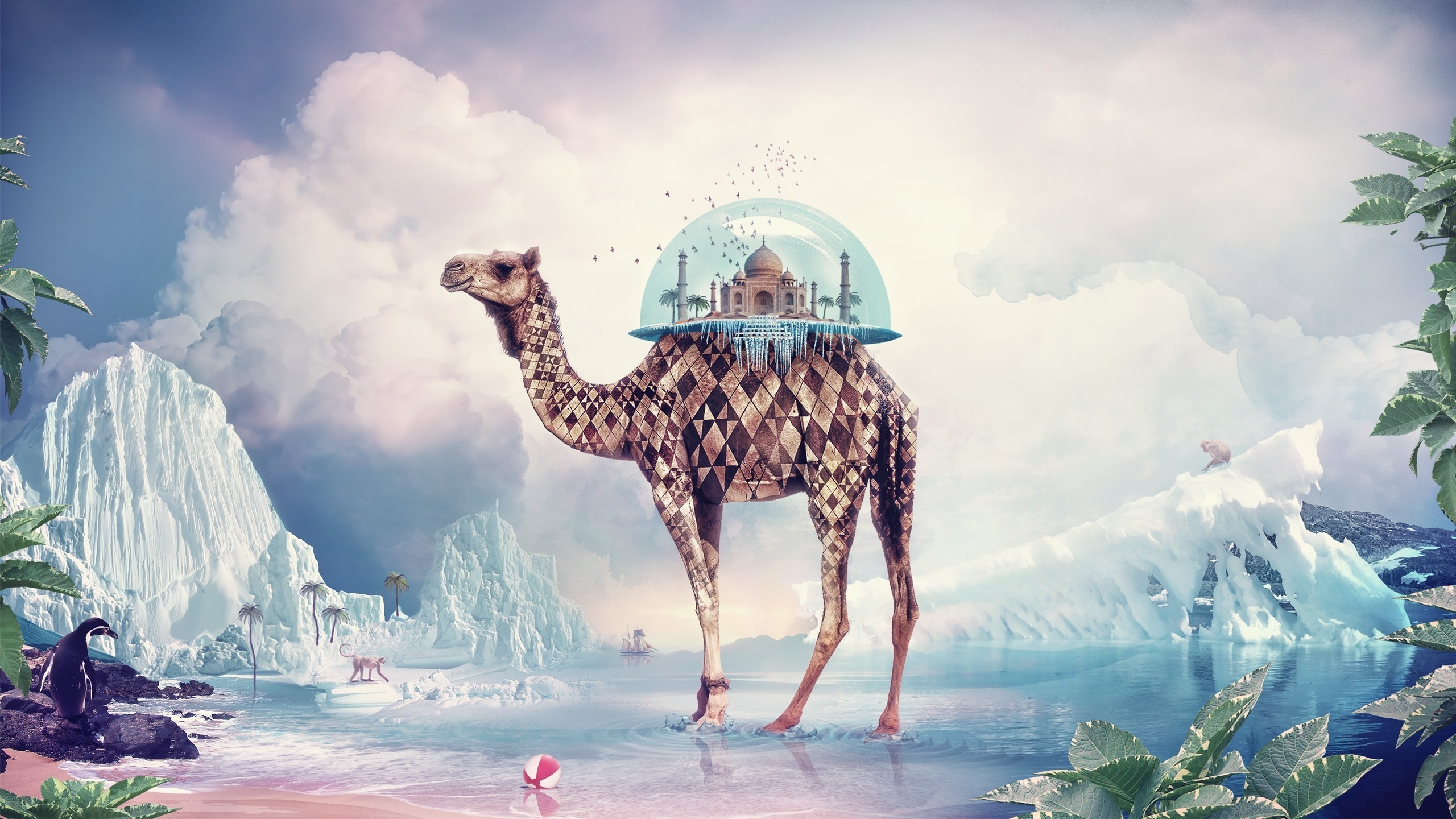 2560x1440 Taj mahal camels digital art surreal wallpaper