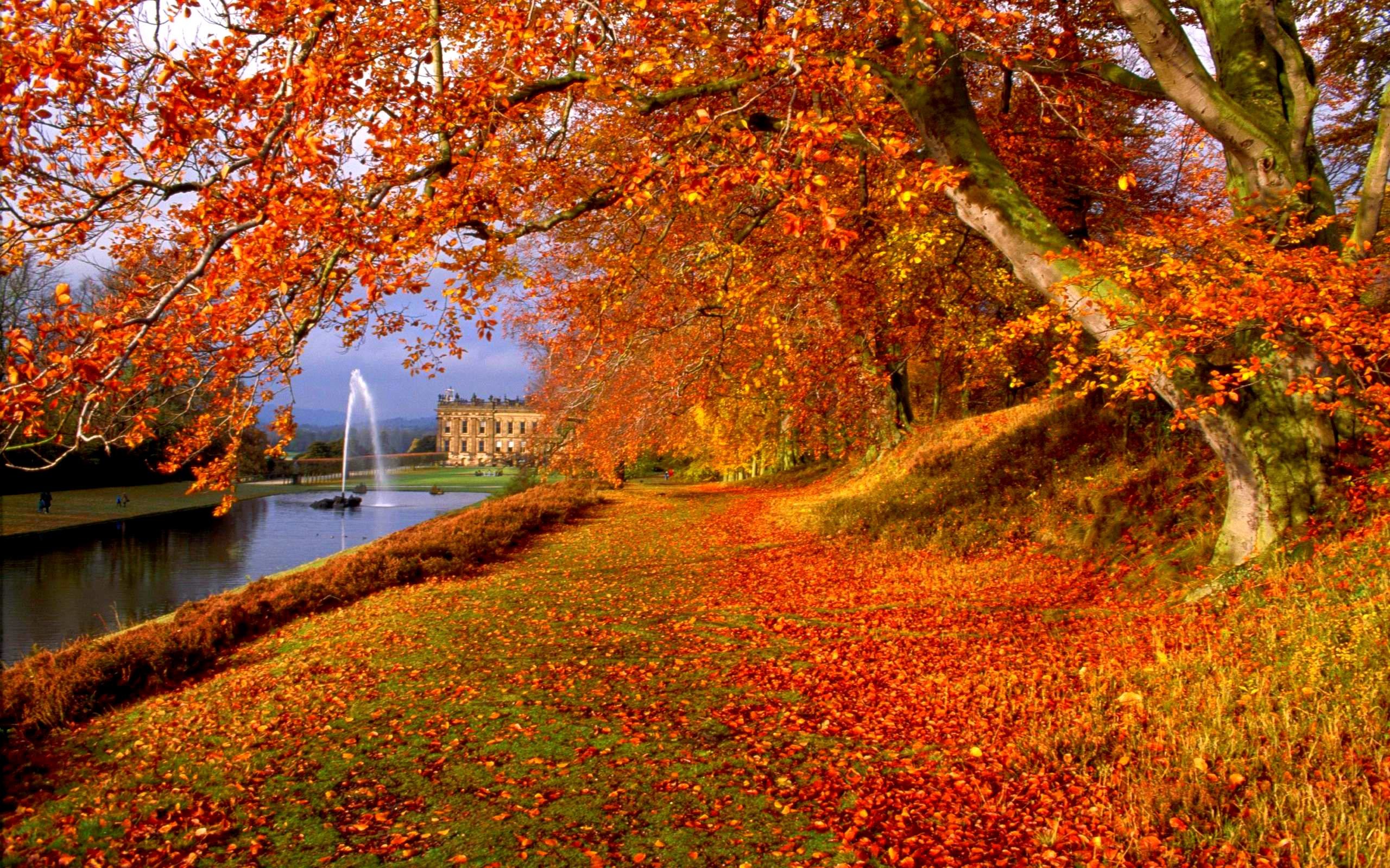 2560x1600 Free Autumn Backgrounds Wallpaper | Best Free Wallpaper