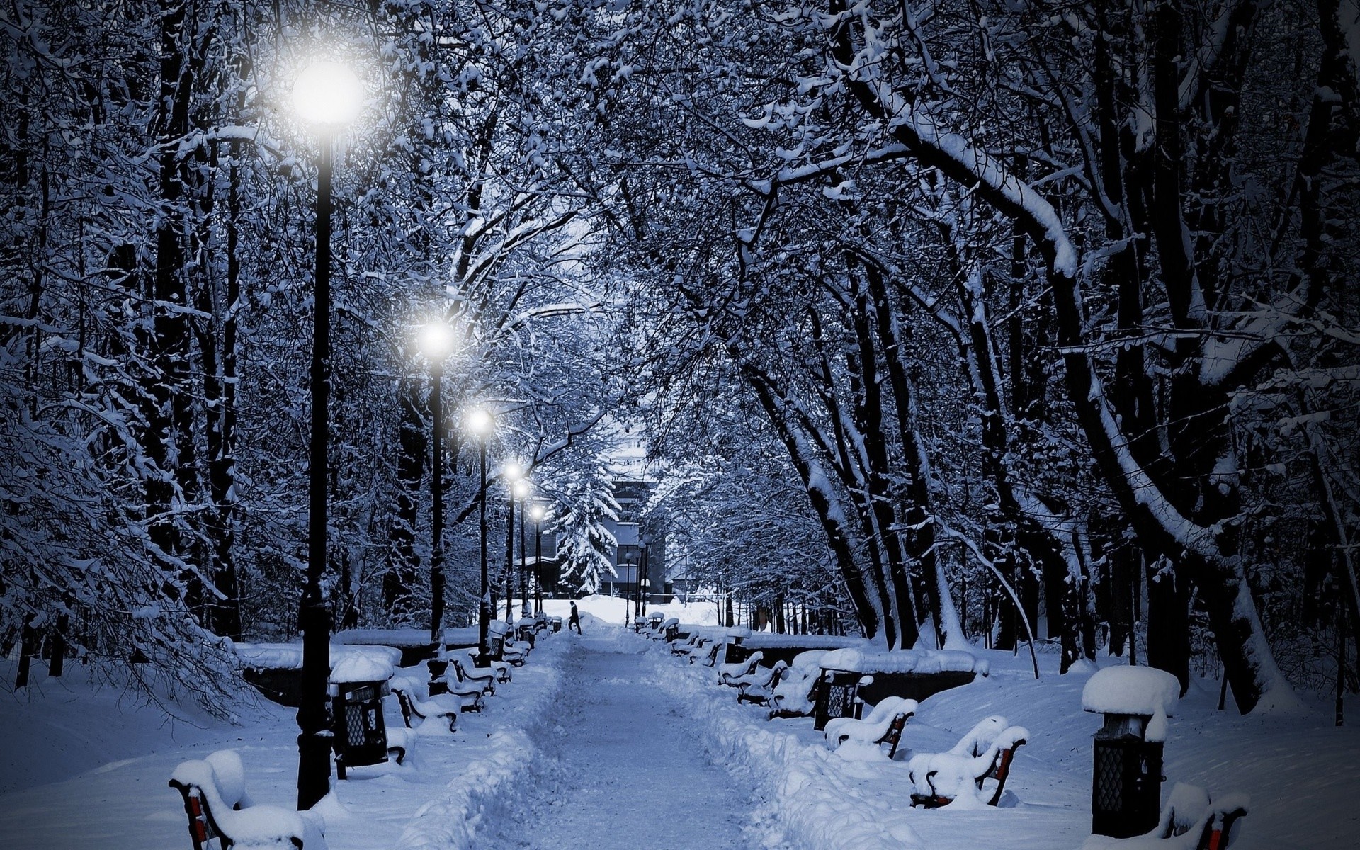 1920x1200 Landscapes nature winter snow snowflakes snowing trees park white night lights  christmas wallpaper |  | 24142 | WallpaperUP
