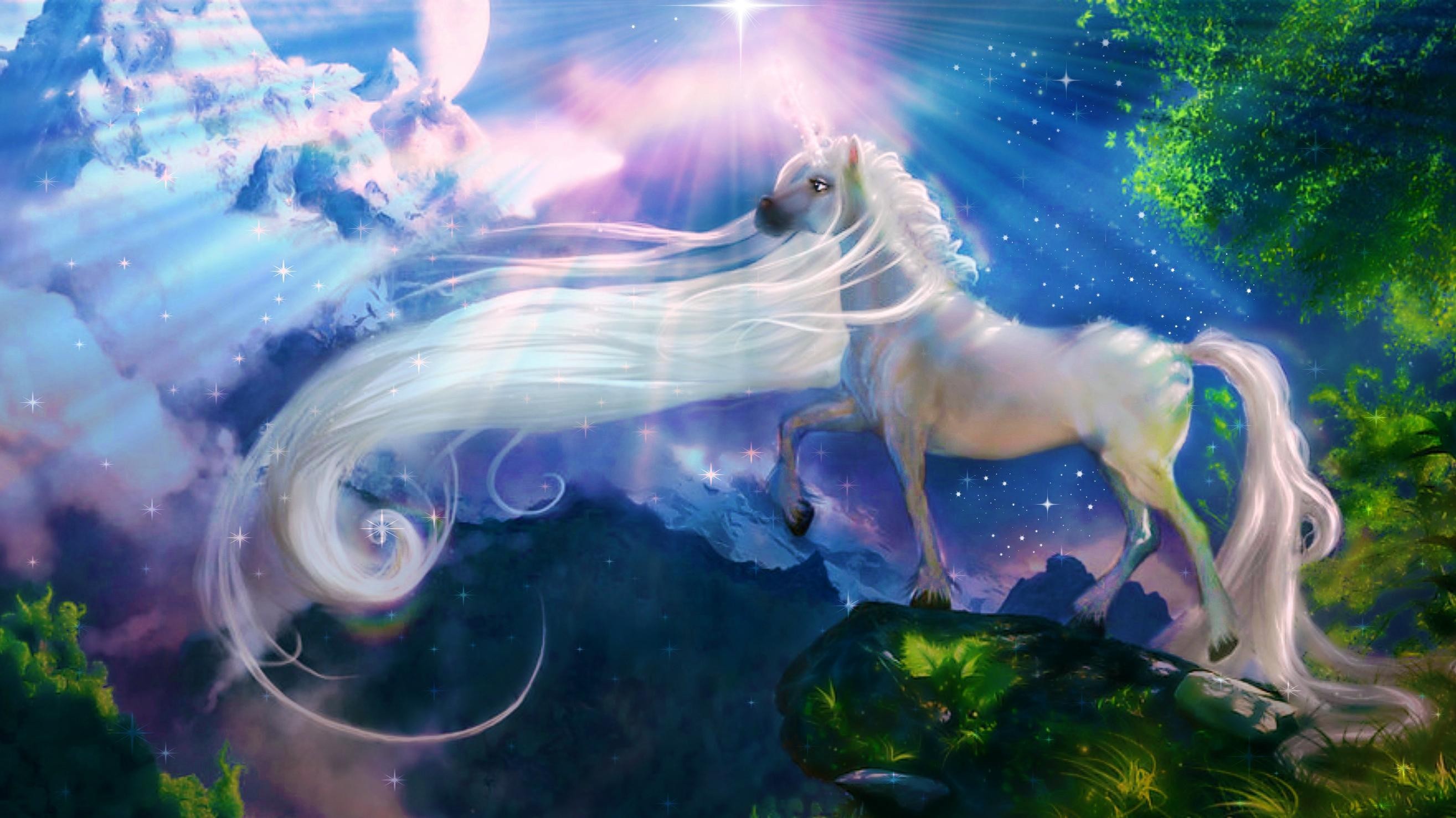 2629x1477  Unicorn fantasy - (#136445) - High Quality and Resolution  Wallpapers .