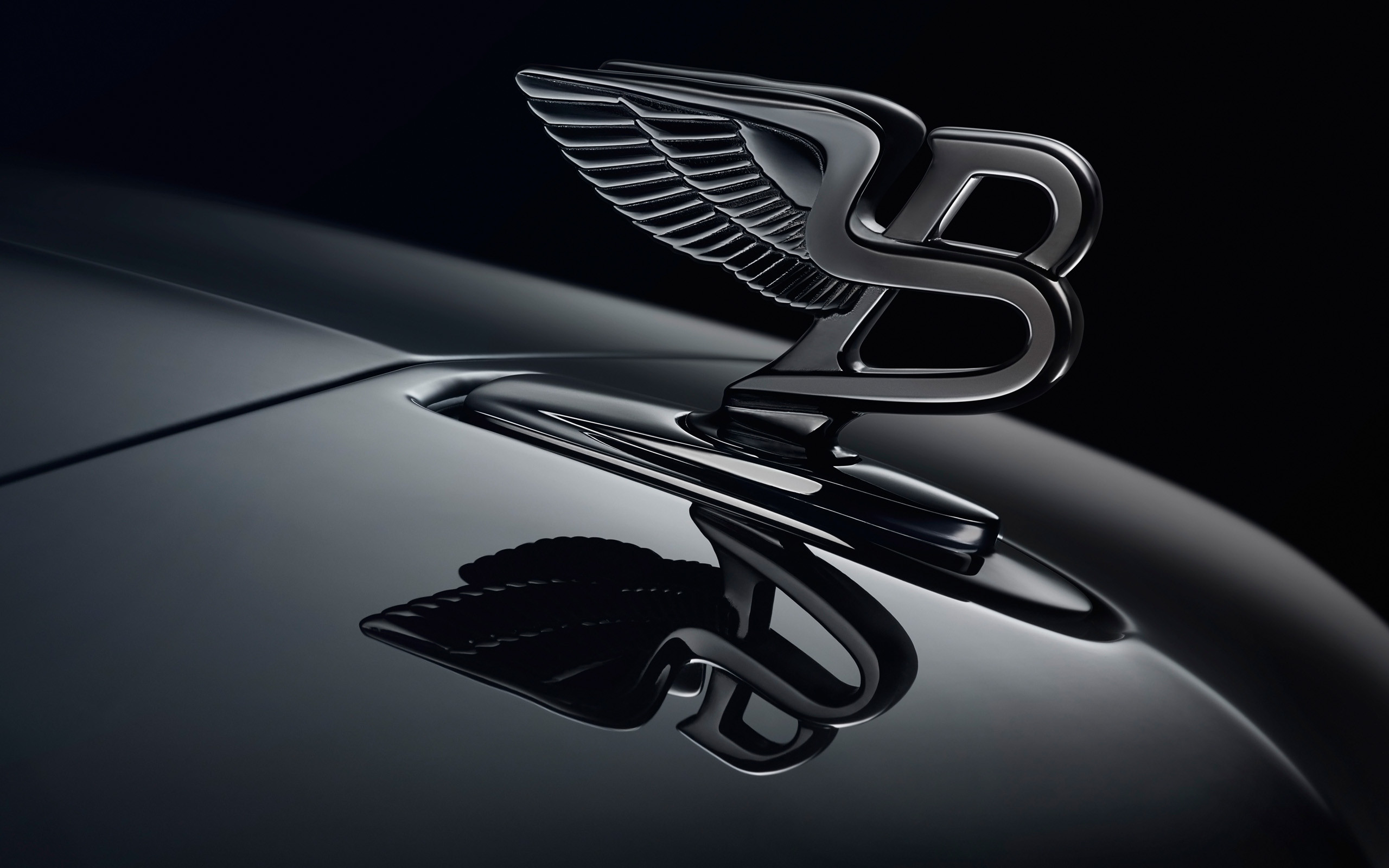 2560x1600 Bentley Logo