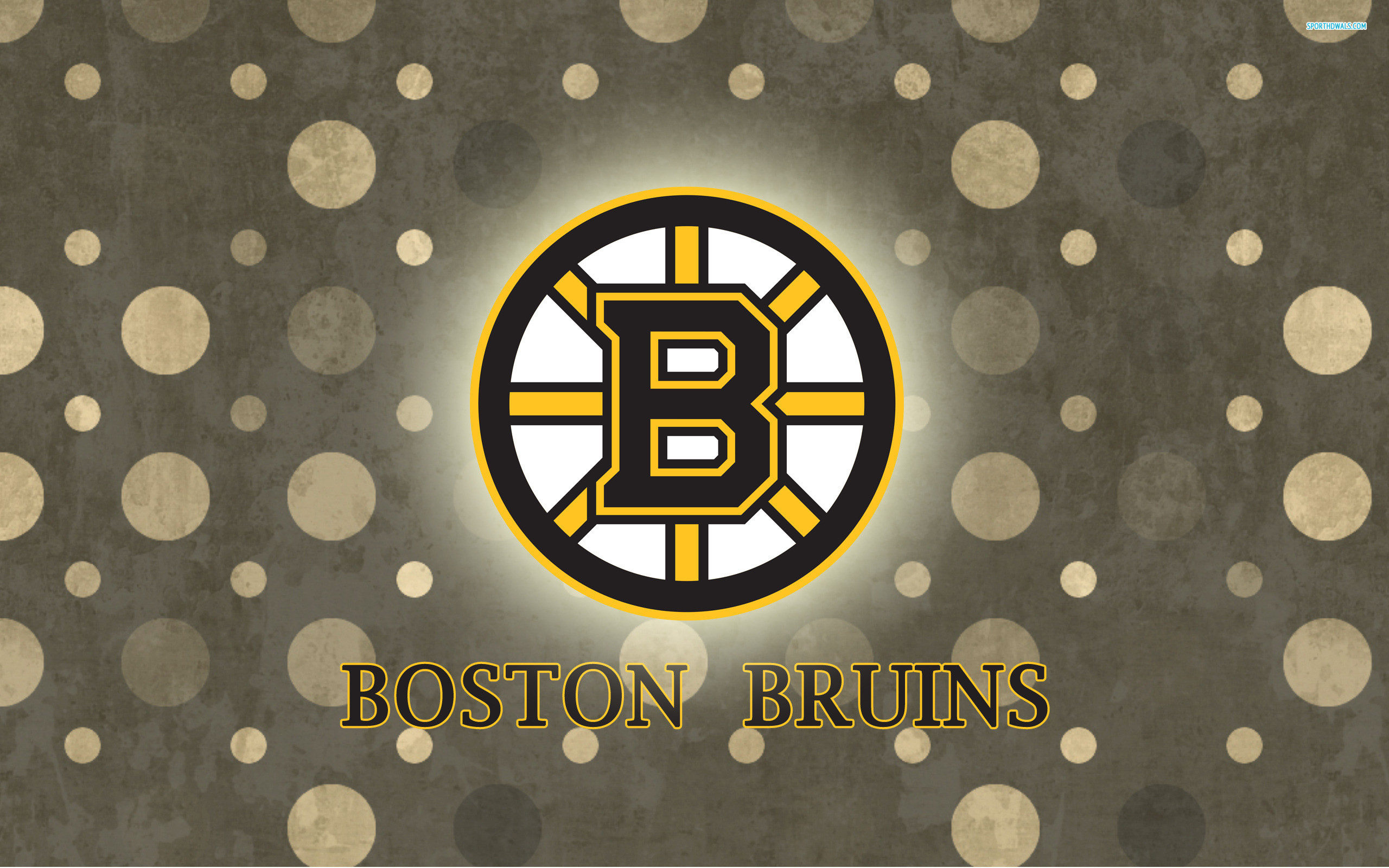 2560x1600 Bruins Wallpaper