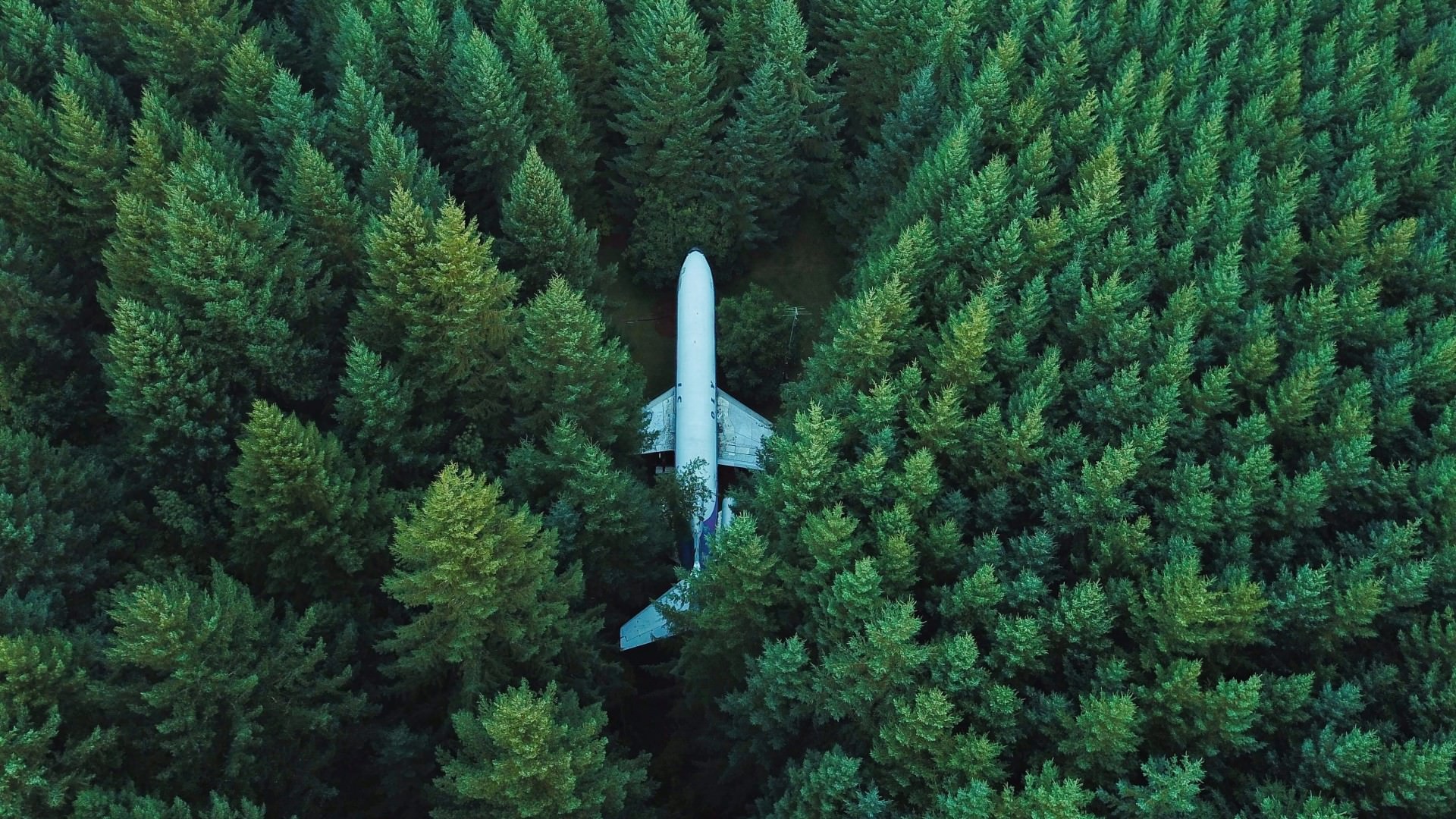 1920x1080 Downed Plane in a forest [] ...