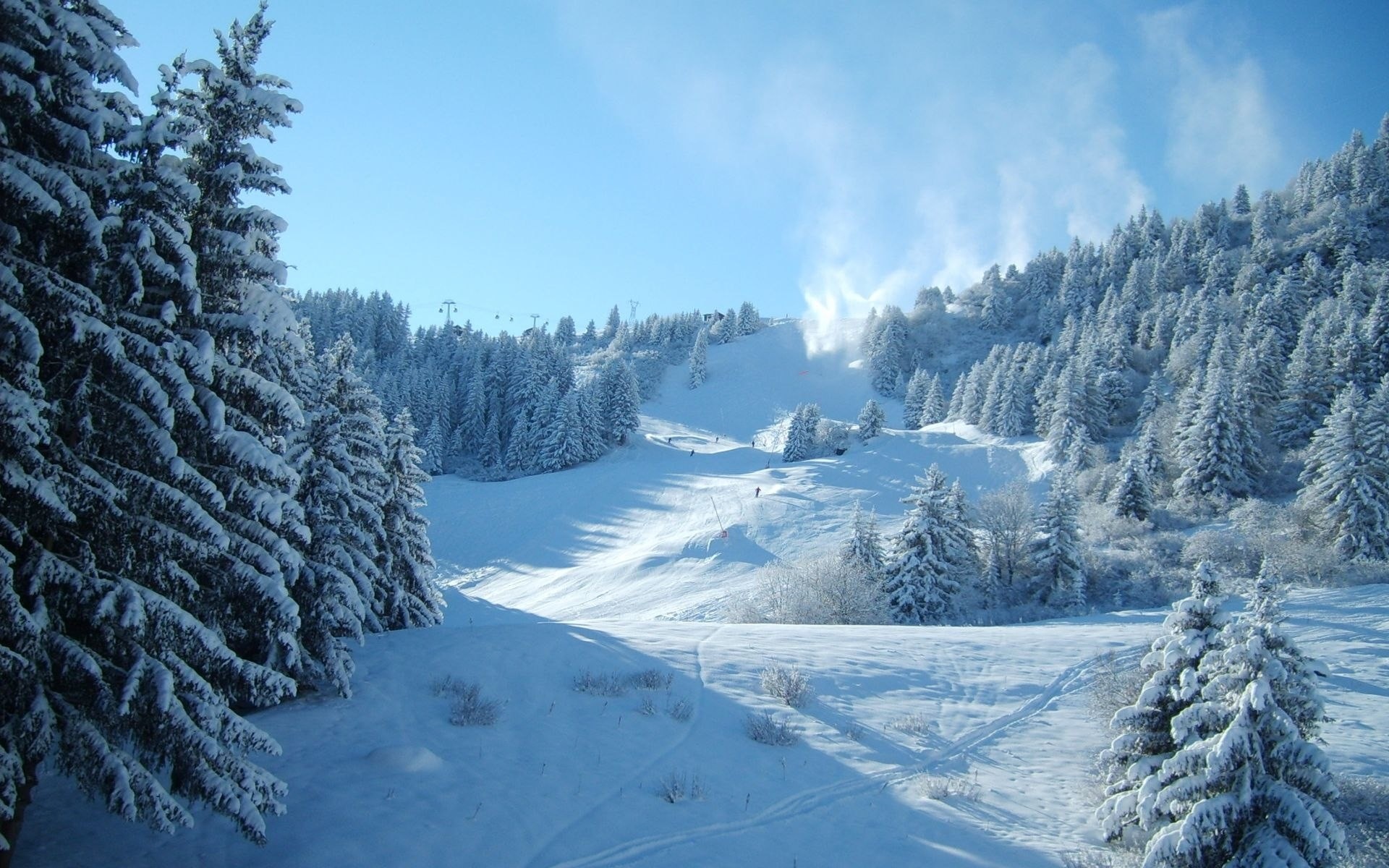 1920x1200 skier, tree, snow, mountain, ski route, forest, ski