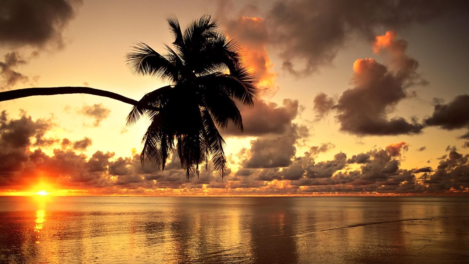 1920x1080 Hawaiian Sunset HD Beach Wallpapers 1080p