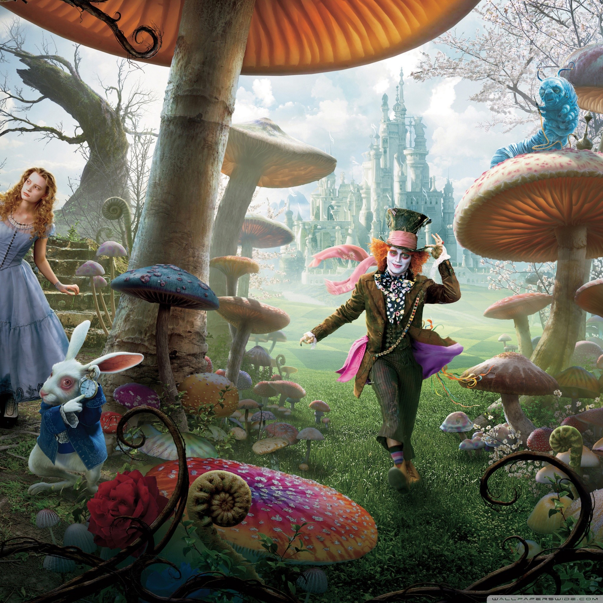 Alice In Wonderland Cartoon Wallpaper (61+ images)