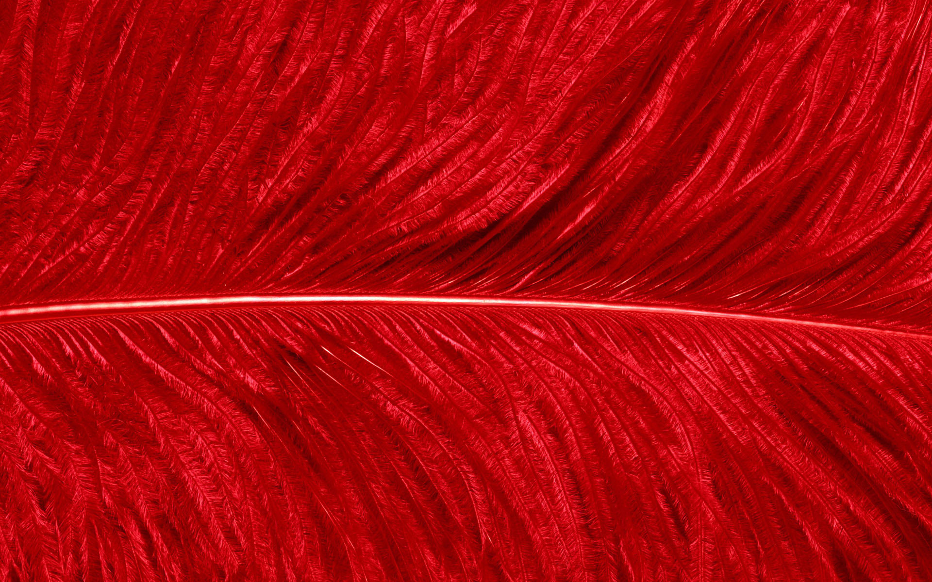 1920x1200 Red Wallpaper 10