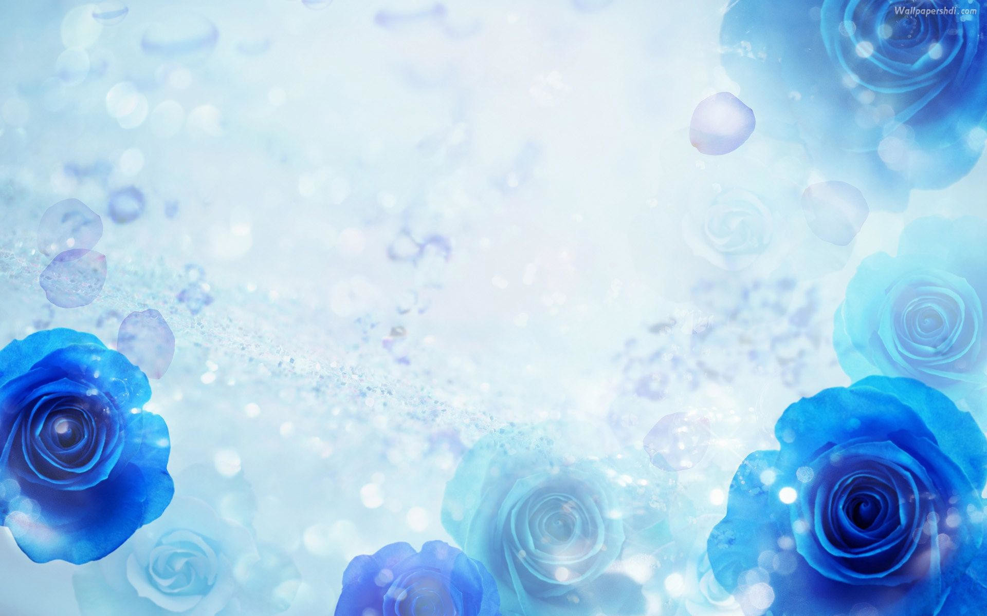 1920x1200 Awesome Blue Flower Background