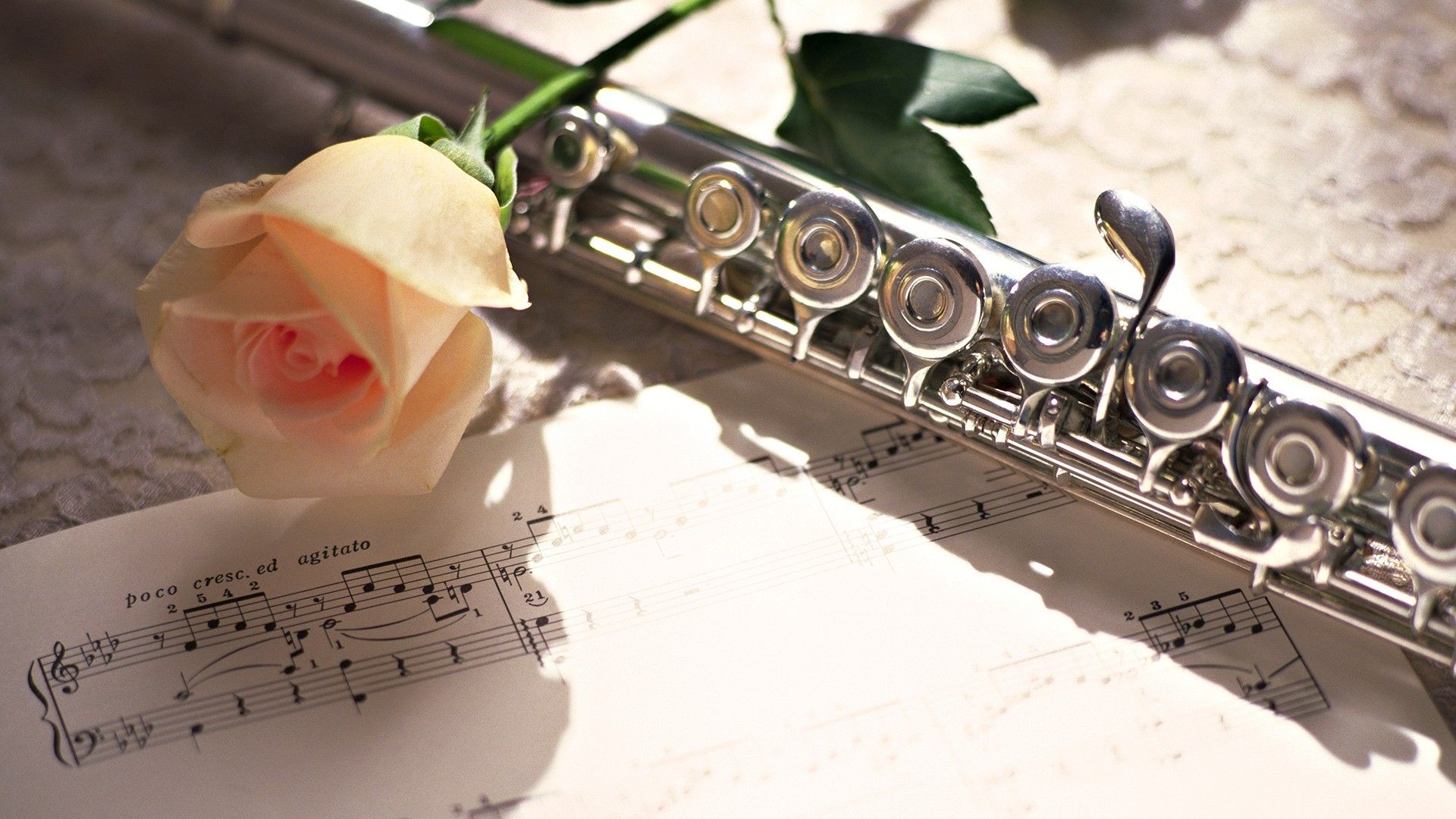1920x1080 1920x1200 Flute Wallpapers
