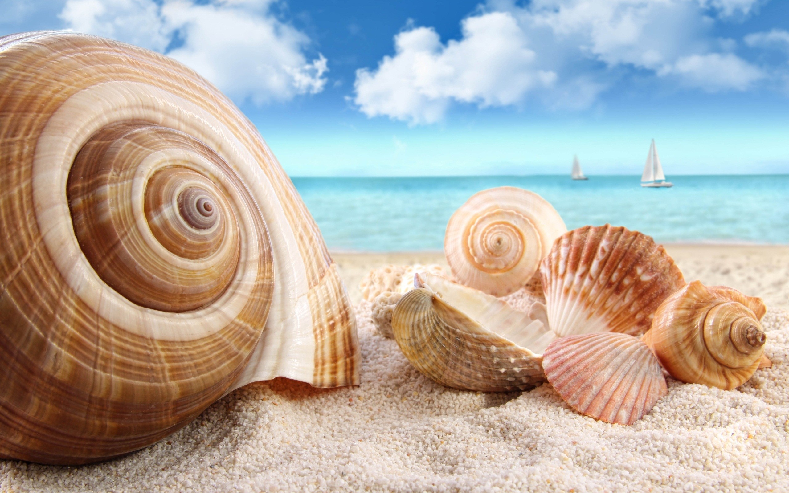 2560x1600 Download wallpaper: sea , download photo, Beach, , sand, sand beach  wallpaper