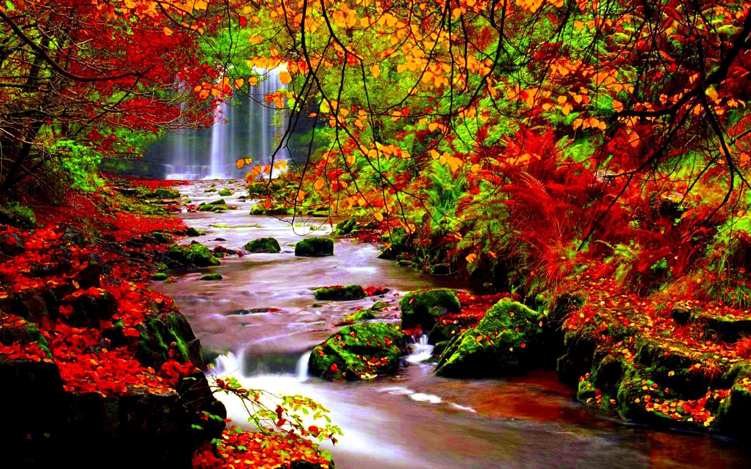 2560x1600 Autumn scenery stream river in autumn-trees with red leaves falling leaves  Desktop Hd Wallpaper 2560Ã1600