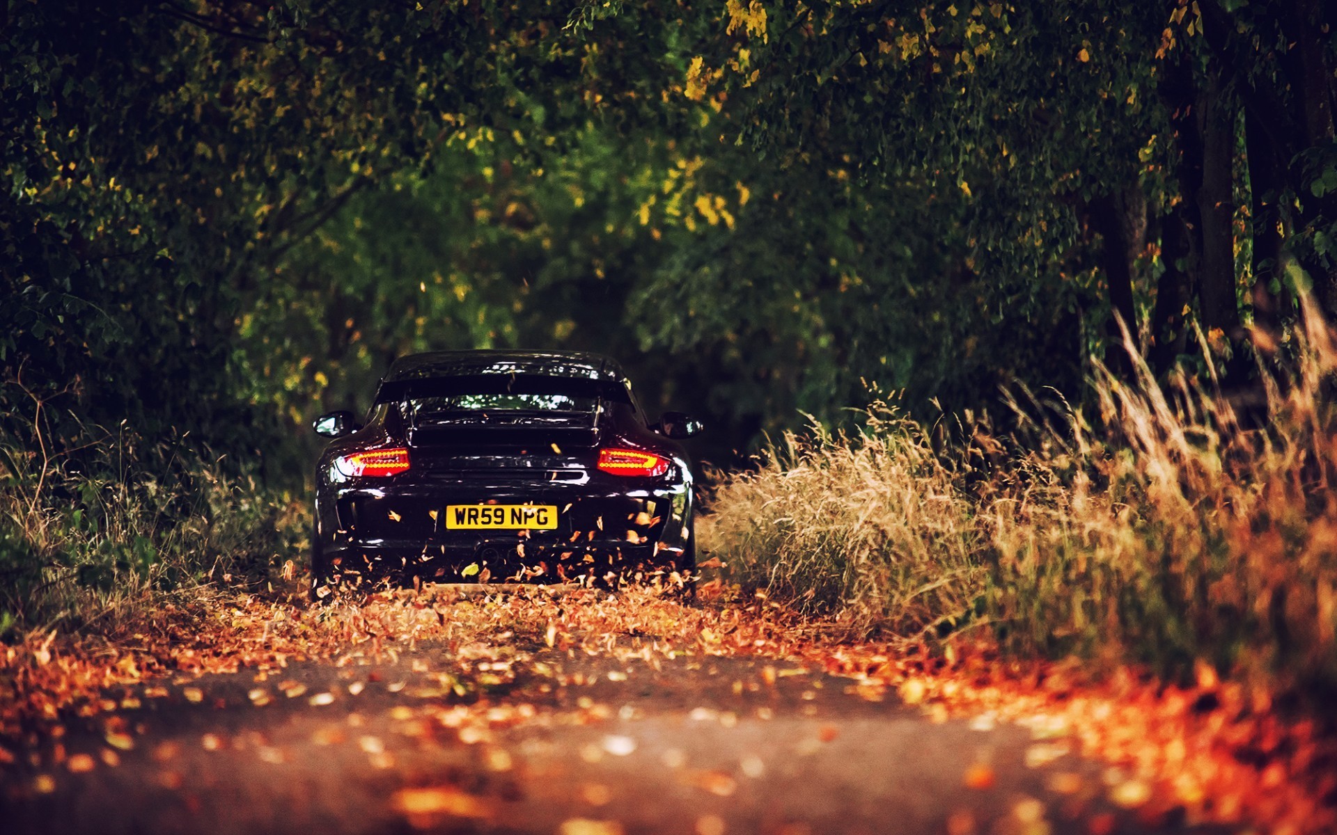1920x1200 Daily Wallpaper: Into the Fall, Ft. Porsche GT3 | I Like To Waste My Time