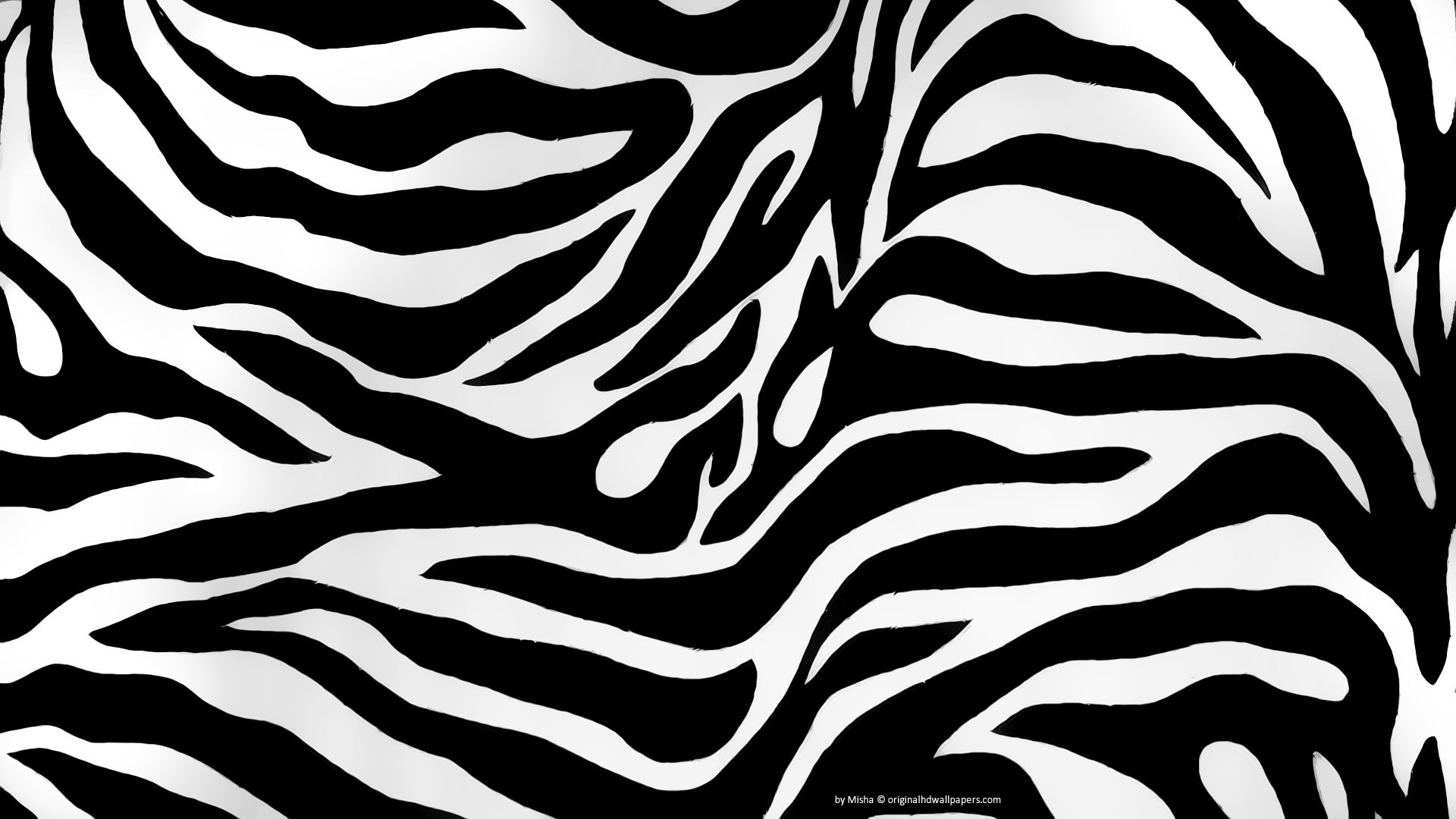 1920x1080 Zebra Backgrounds