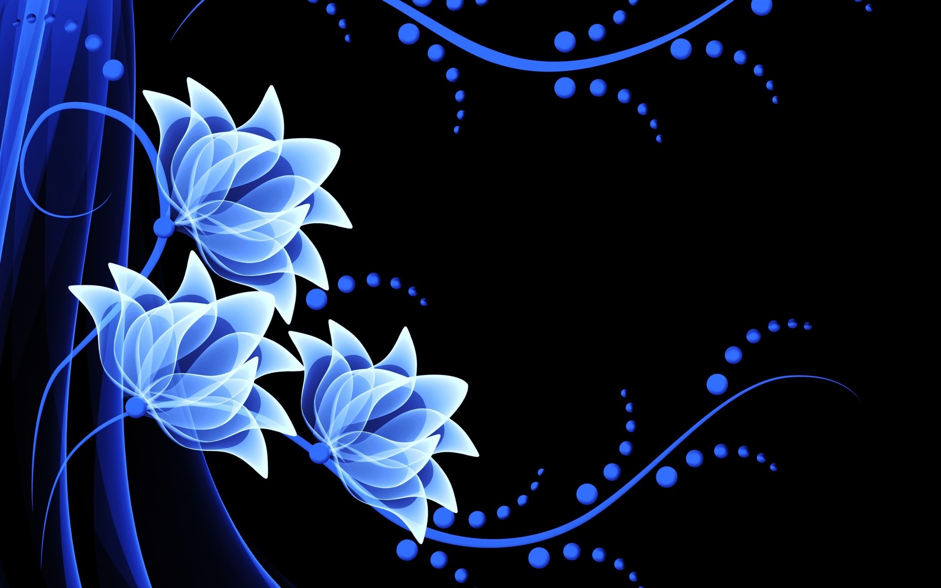 1920x1200 White & Blue Flowers wallpapers and stock photos