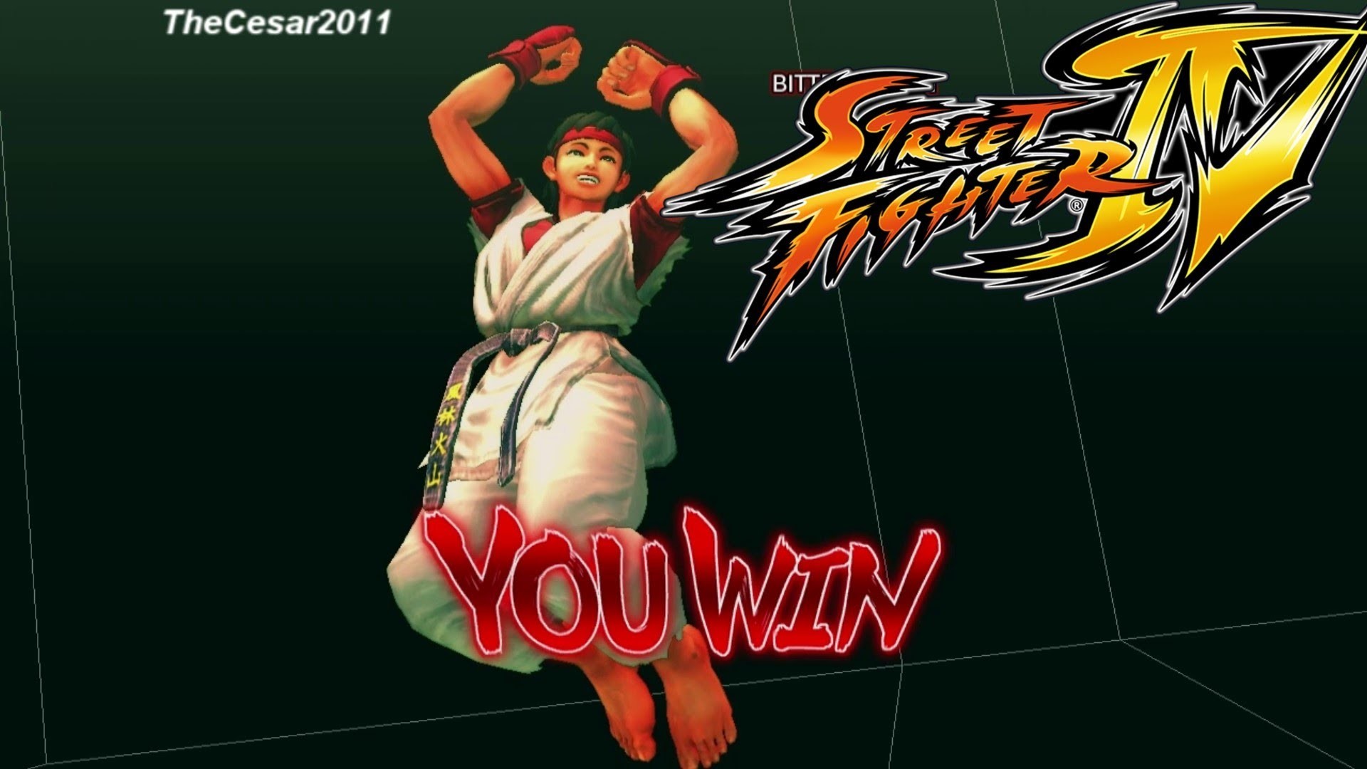 1920x1080 Street Fighter 4 - Arcade Edition (PC) - Sakura Feet 02