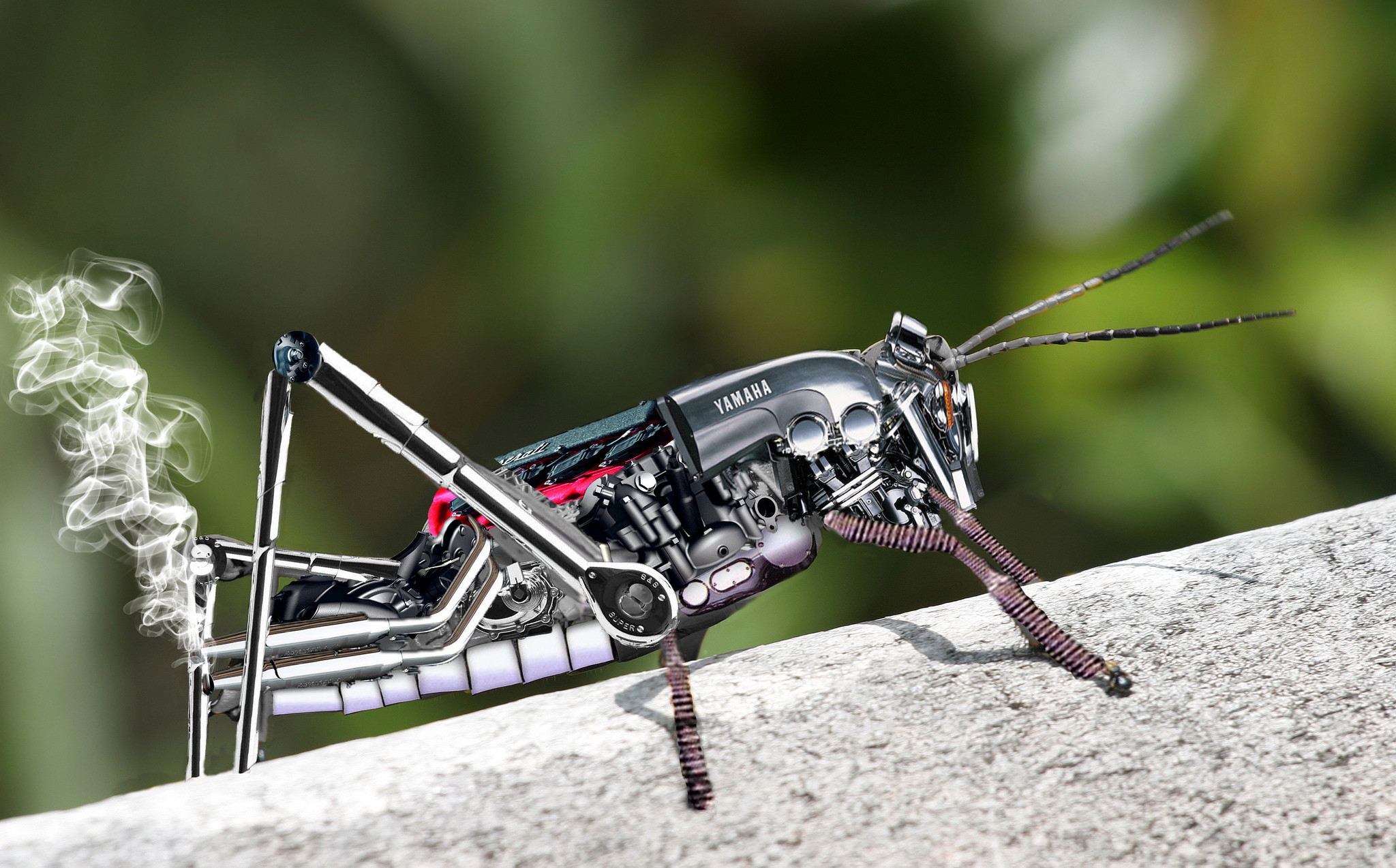 2048x1274 creative, Insects, Grasshopper, Technics, Engine, Yamaha, Humor, Funny, Sci  fi, Steampunk, Smoke Wallpapers HD / Desktop and Mobile Backgrounds