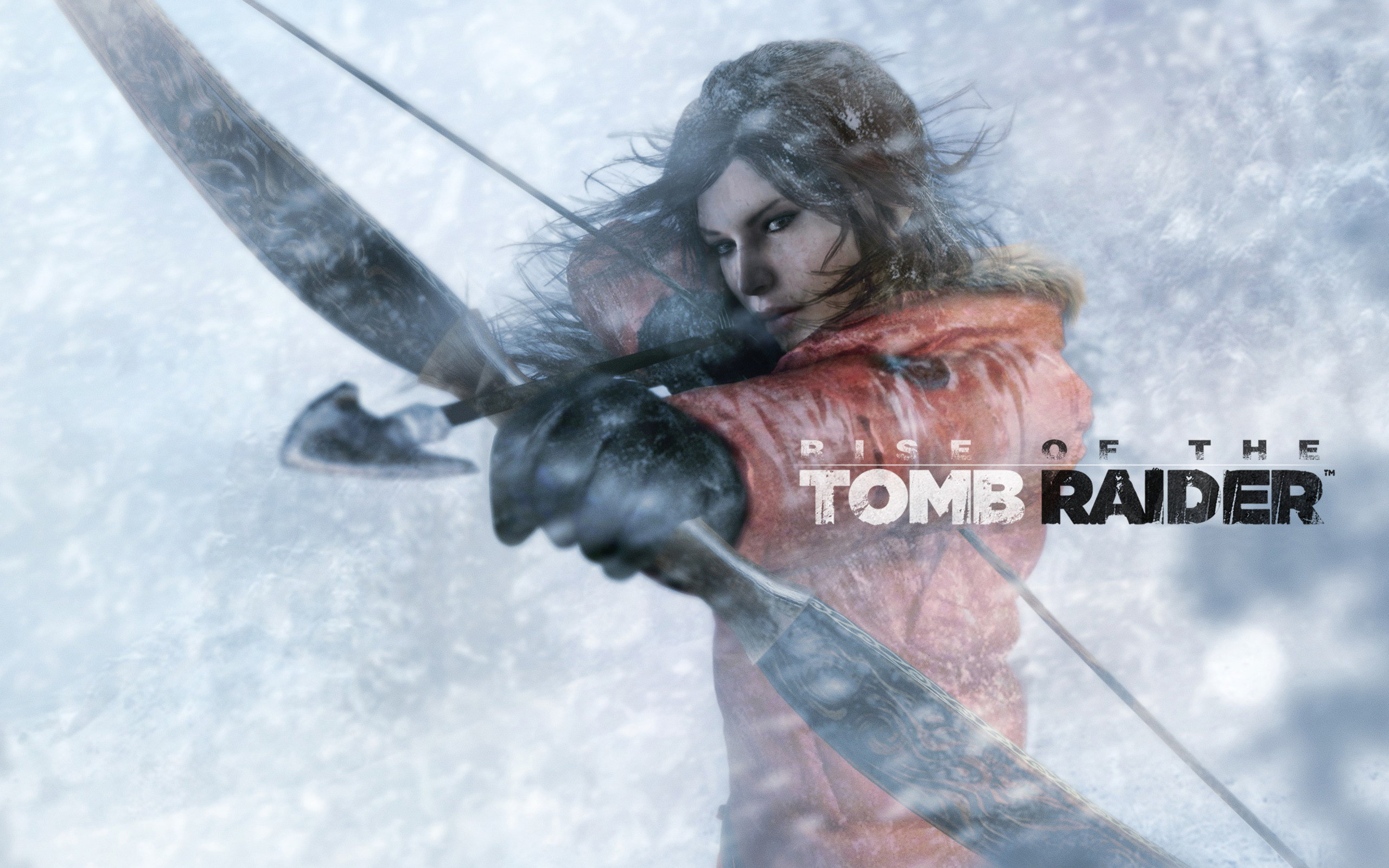 2560x1600  Lara Croft Rise of the Tomb Raider ÃÂ· HD Wallpaper | Background  ID:
