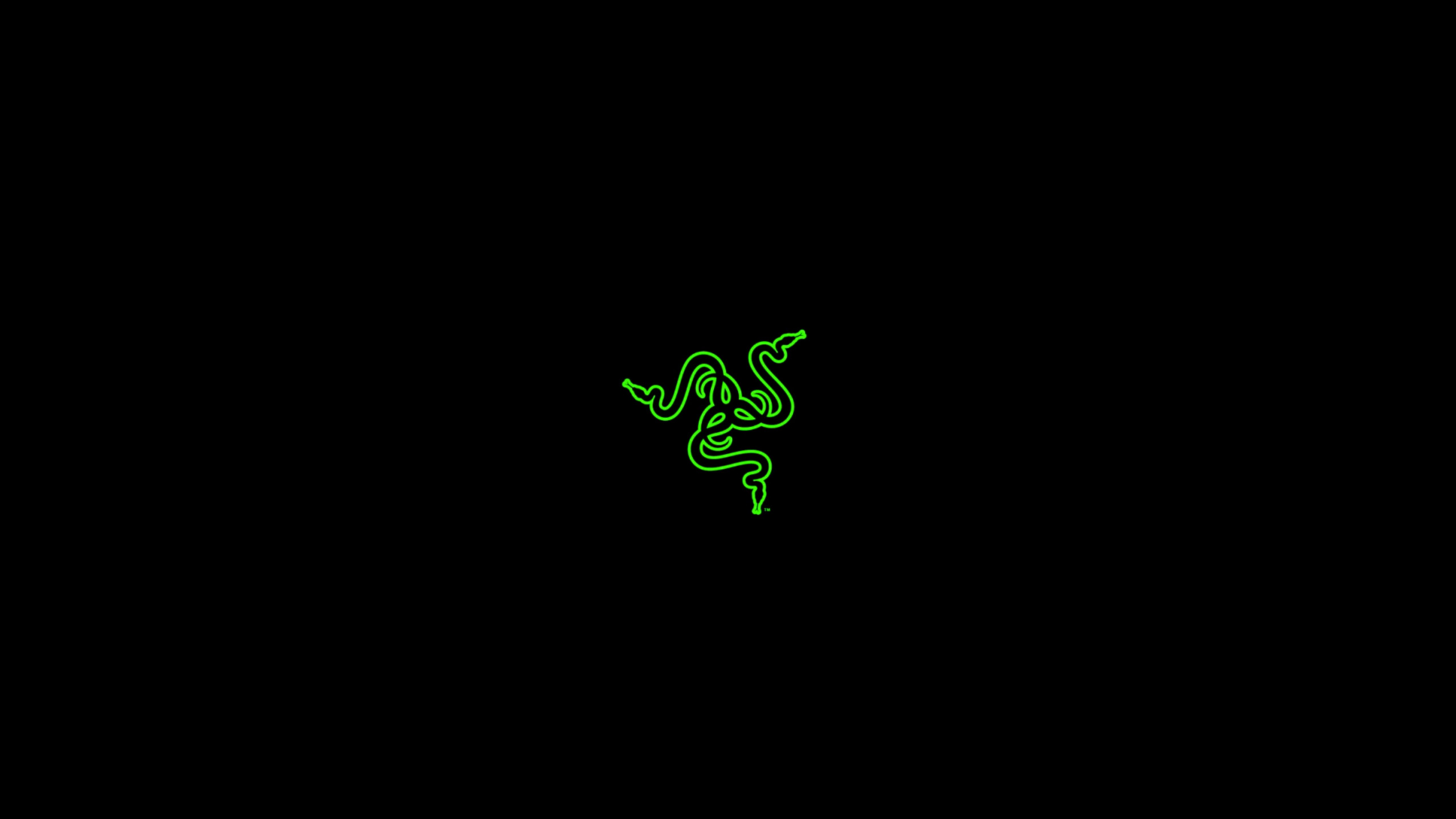 2560x1440 text logo insect PC gaming PC Master Race Razer line darkness screenshot computer  wallpaper font