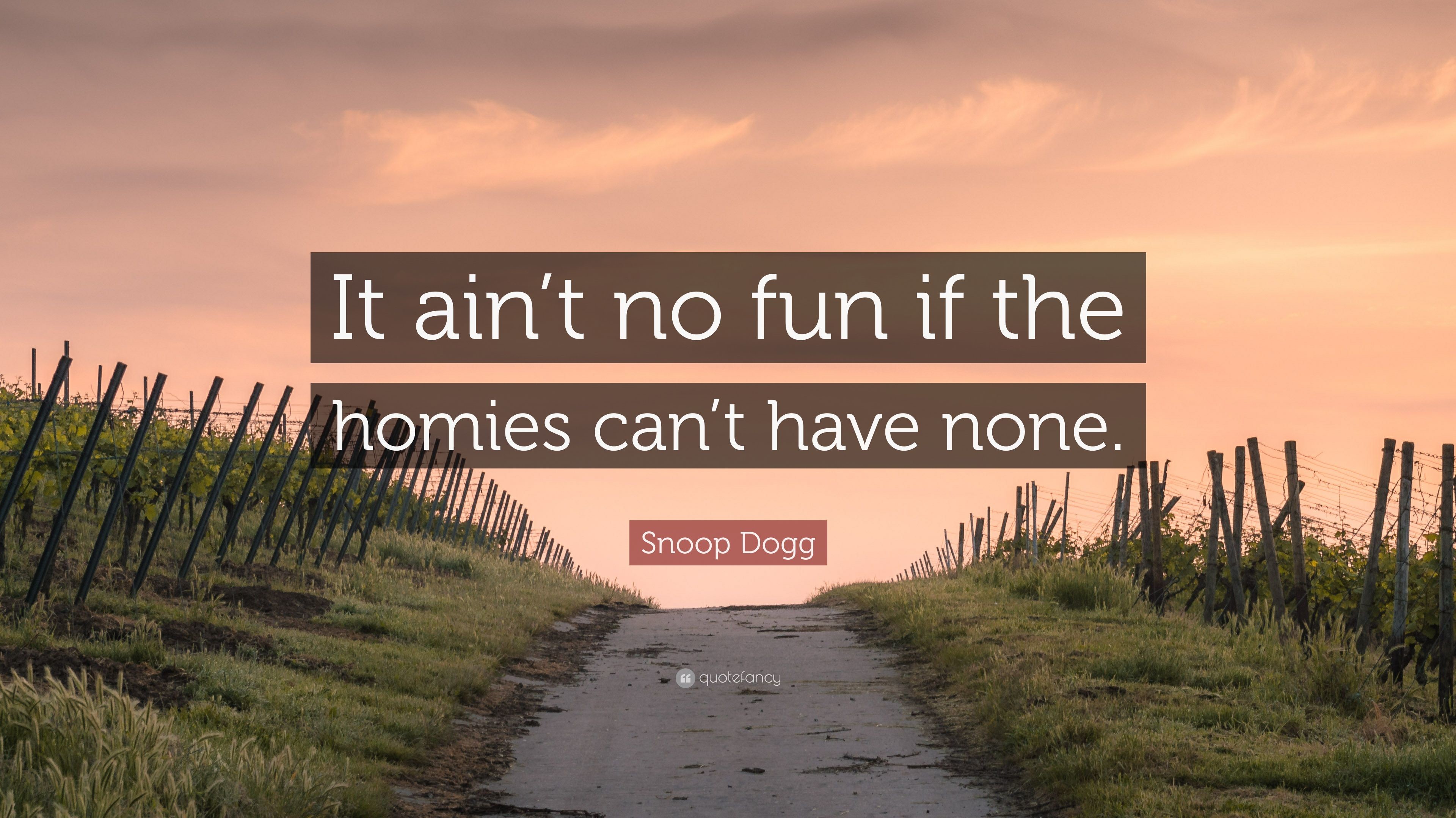 3840x2160 Snoop Dogg Quote: “It ain't no fun if the homies can'