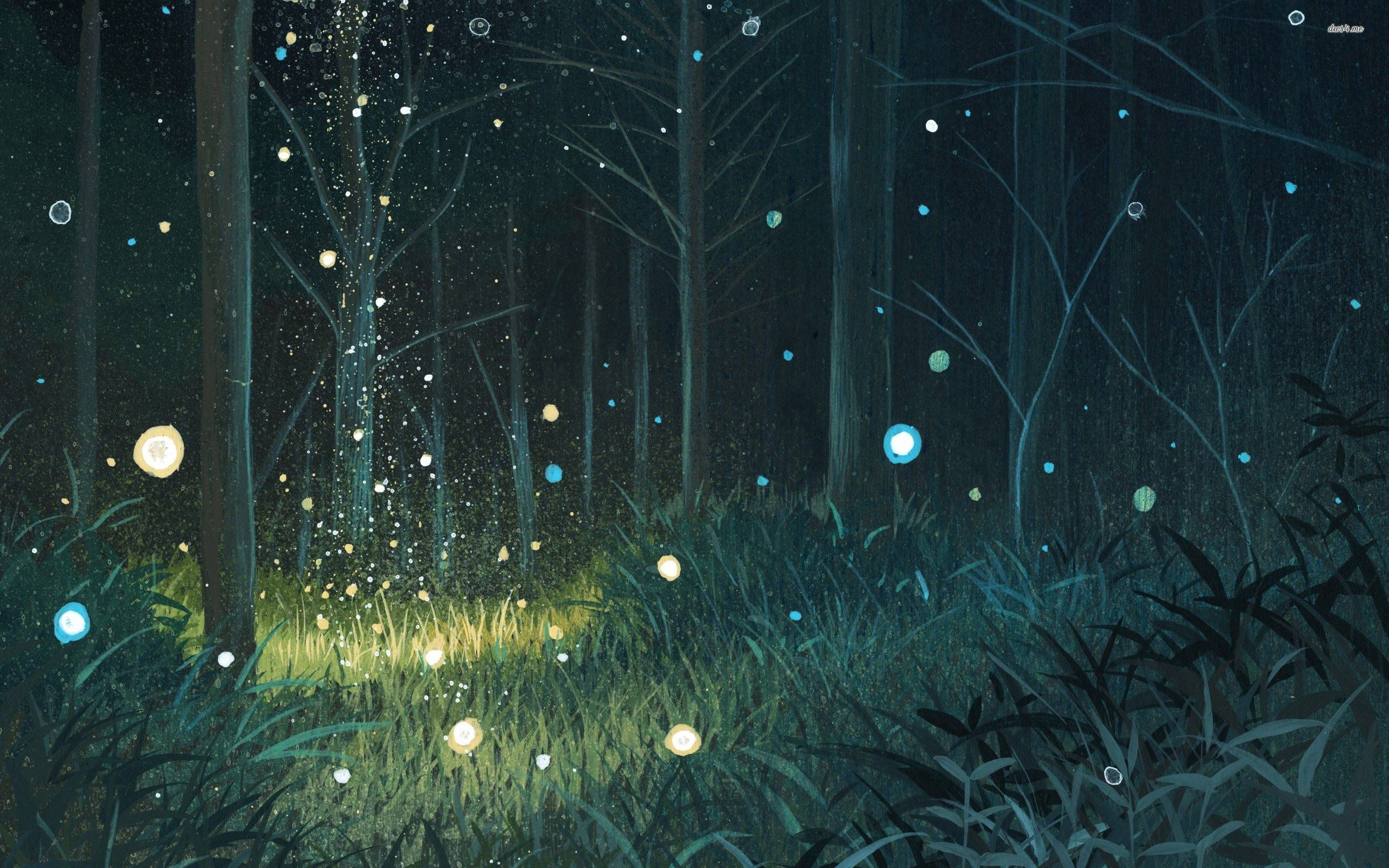2560x1600 Into the Forest of Fireflies' Light Wallpaper HD