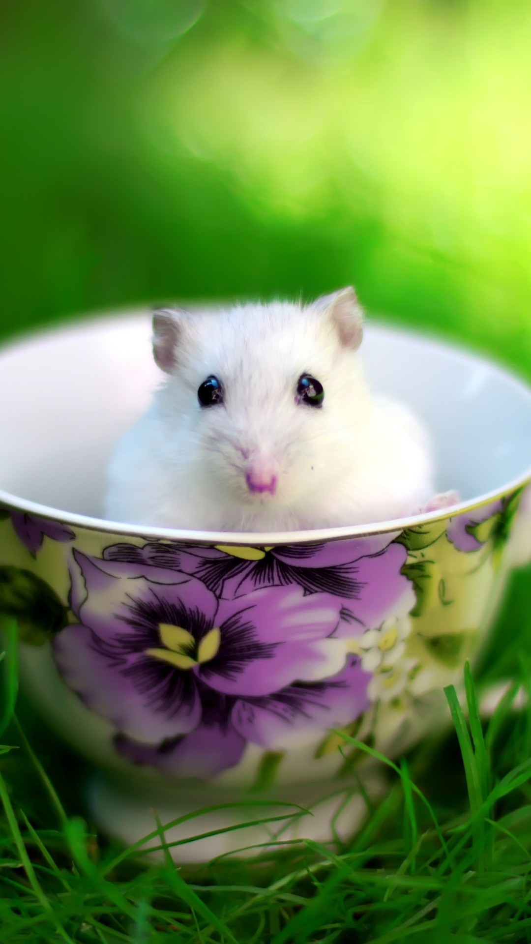 1080x1920 Cute White Mouse In Cup