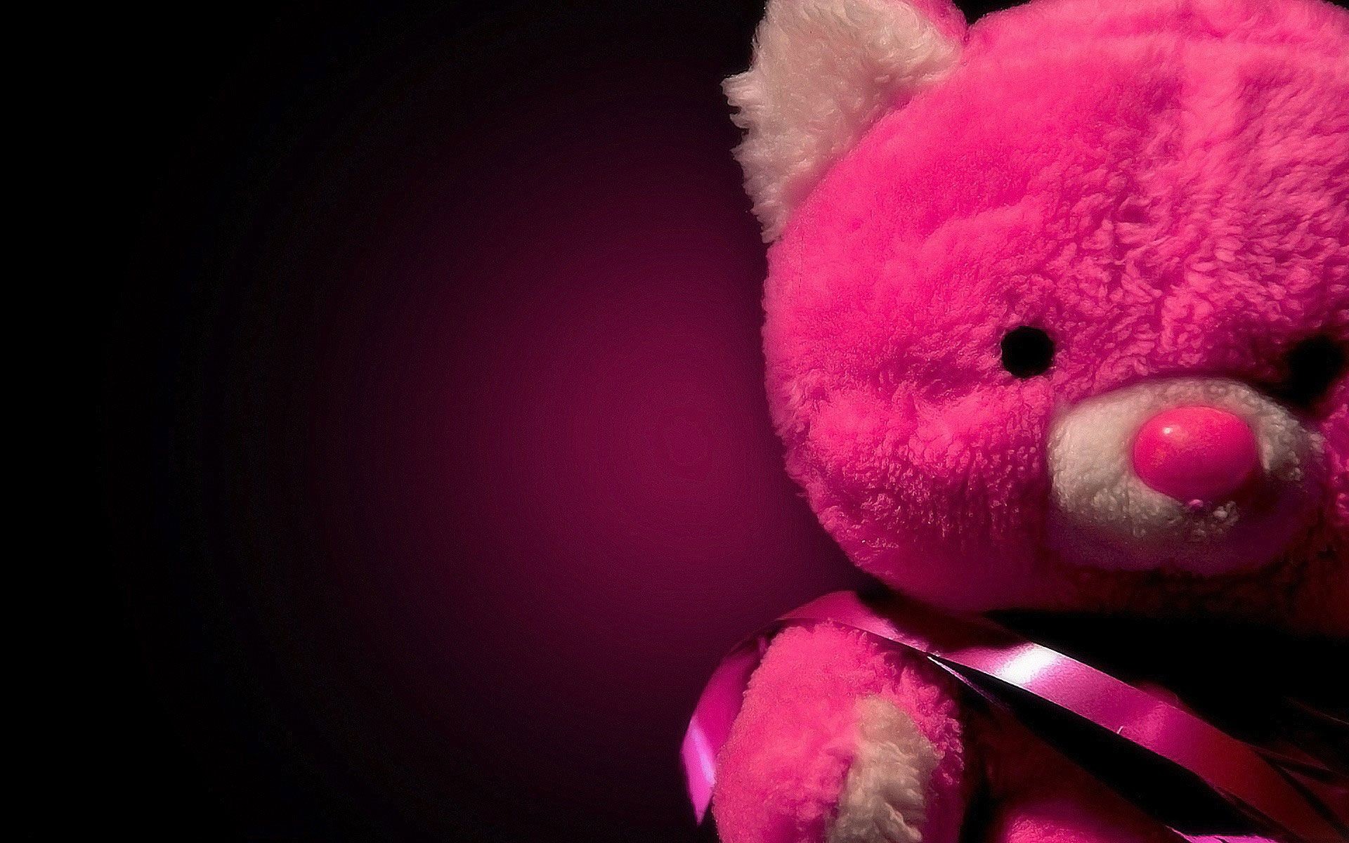 1920x1200 Pink Teddy Bear – HD Love Wallpaper