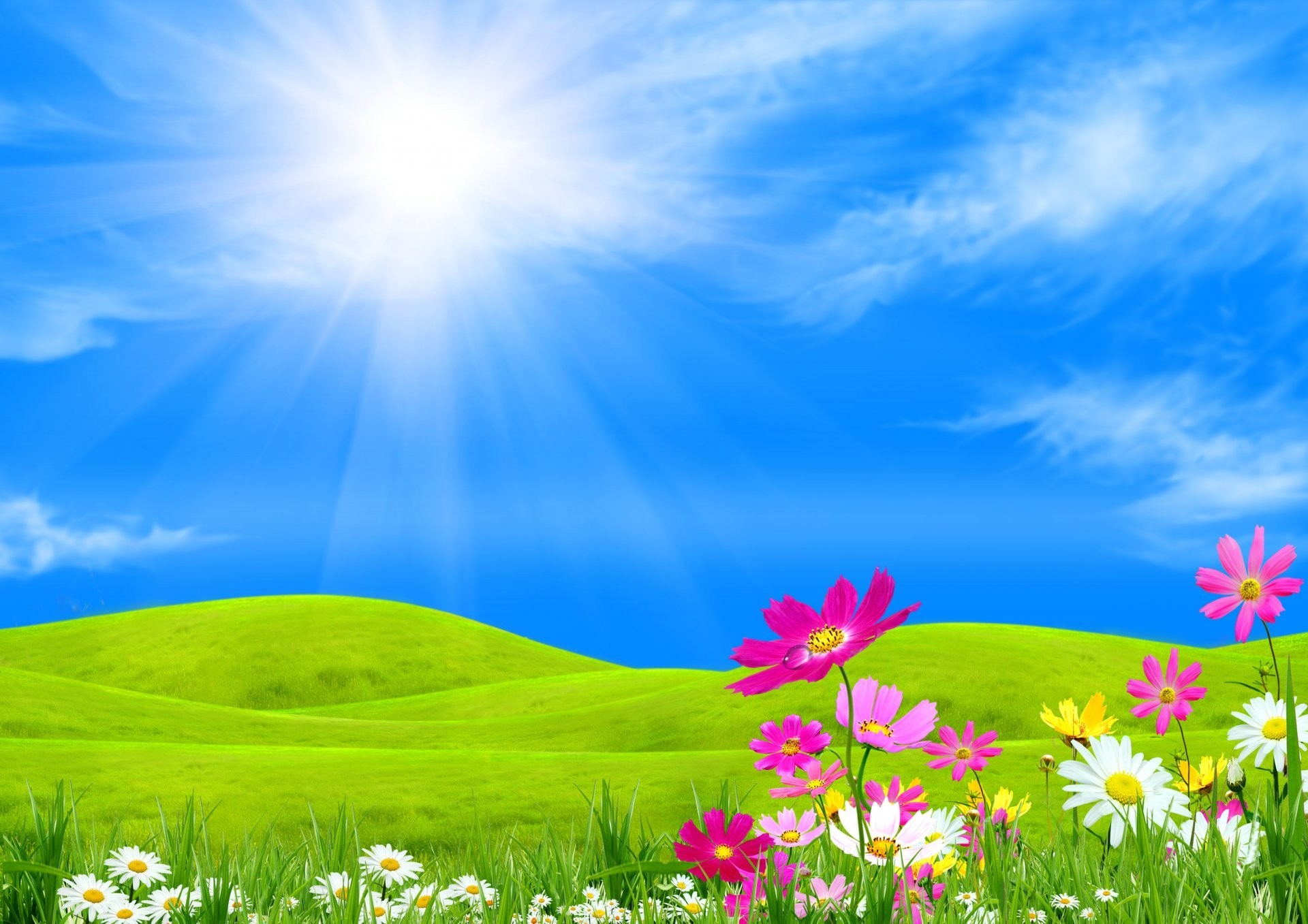 1920x1357 sky clouds hills grass sun rays flower kosmeya collage