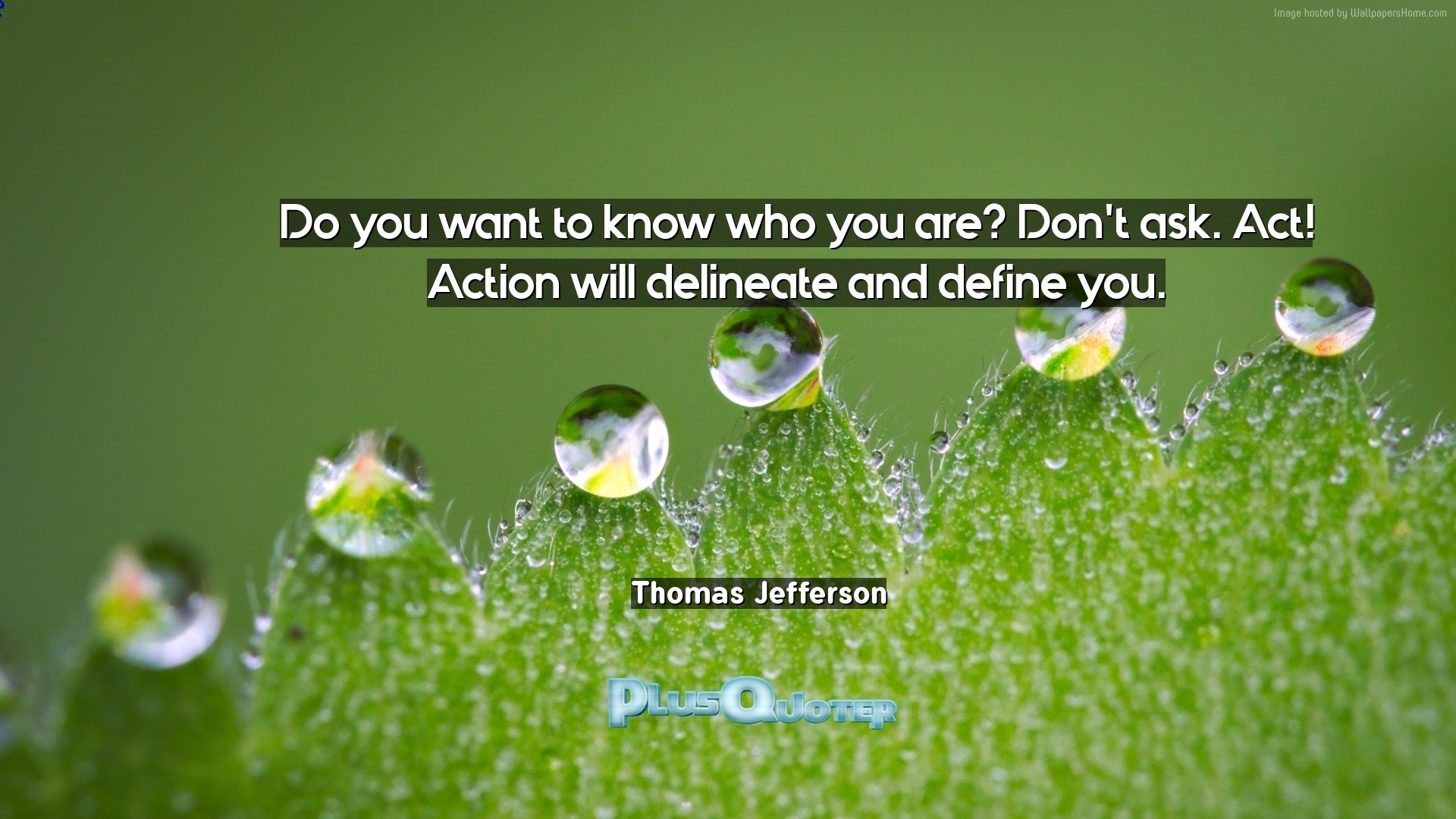 1920x1080 Download Wallpaper with inspirational Quotes- "Do you want to know who you  are?